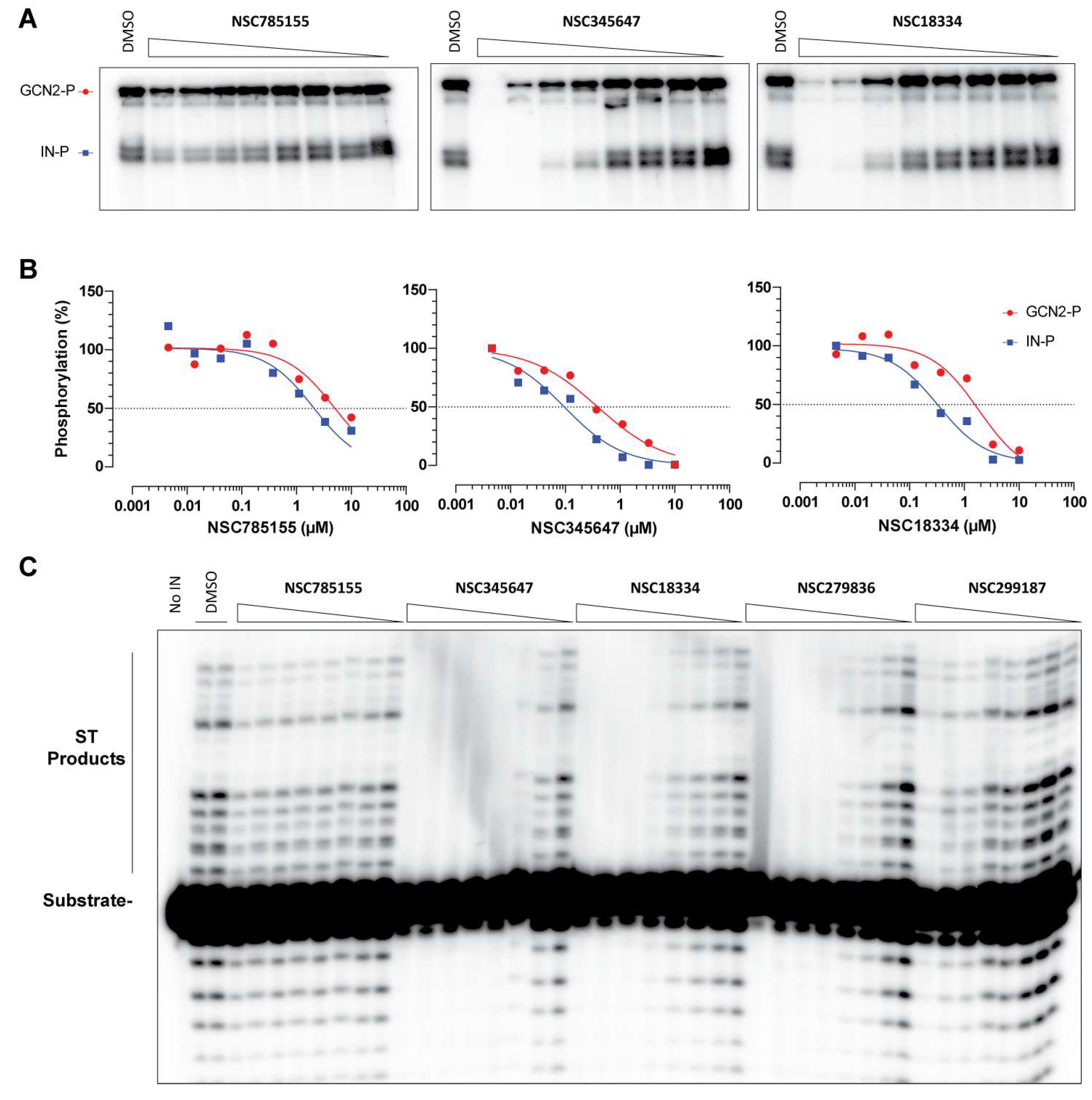 Viruses 17 01138 g006 Viruses 17 01138 g006