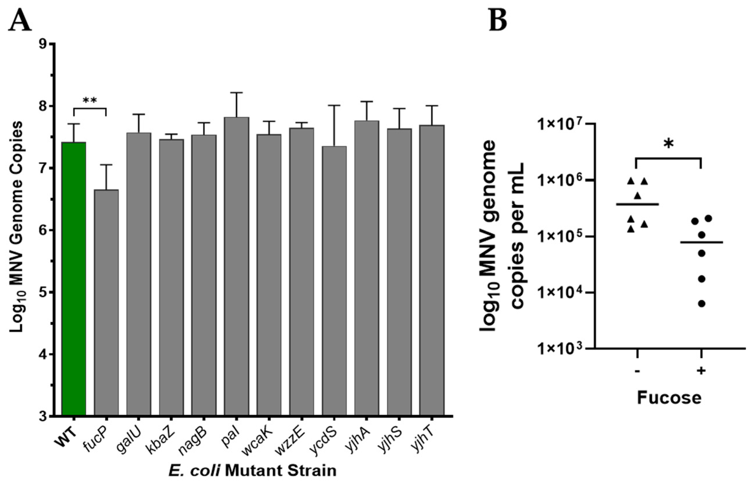 Viruses 17 01142 g004 Viruses 17 01142 g004