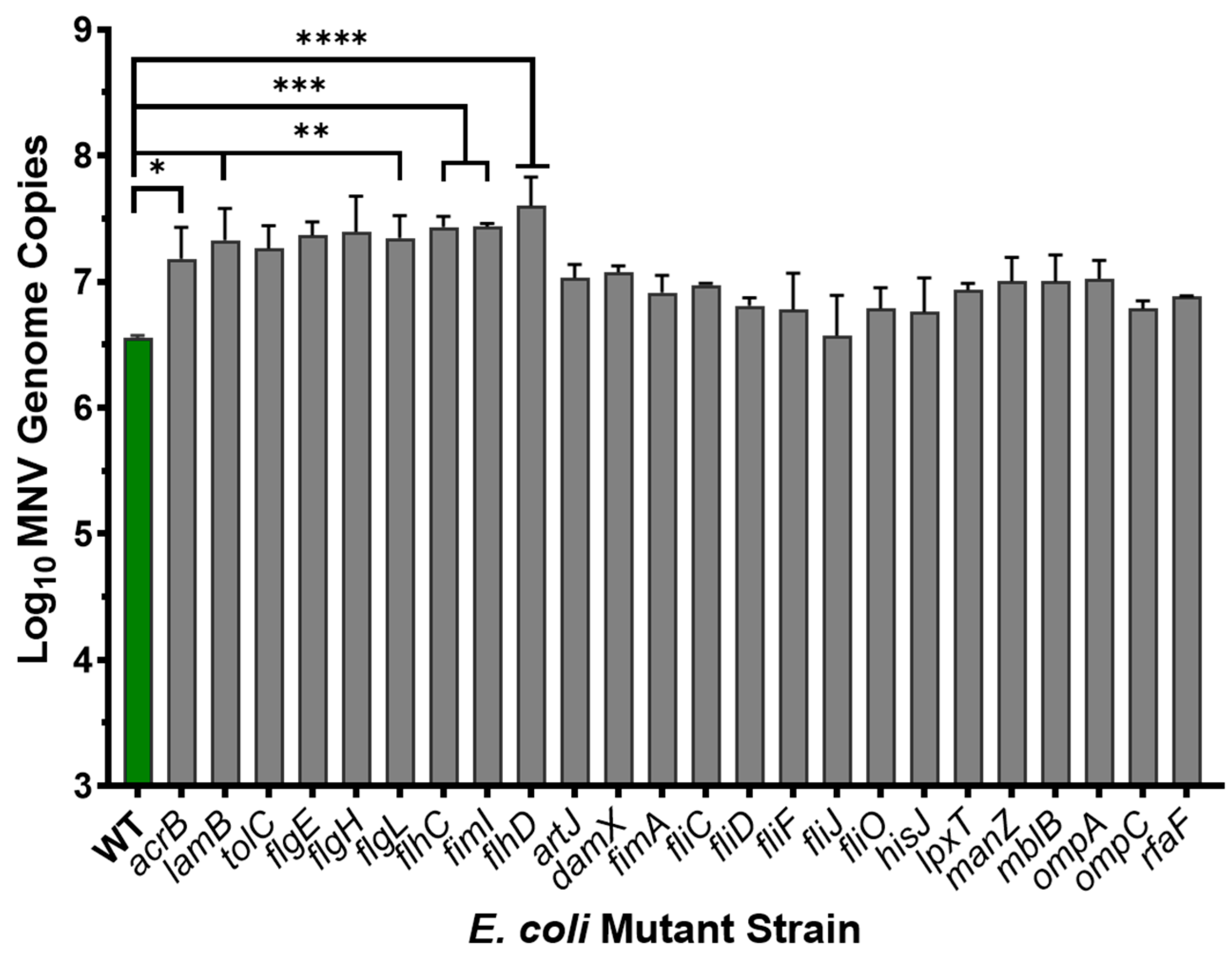 Viruses 17 01142 g005 Viruses 17 01142 g005