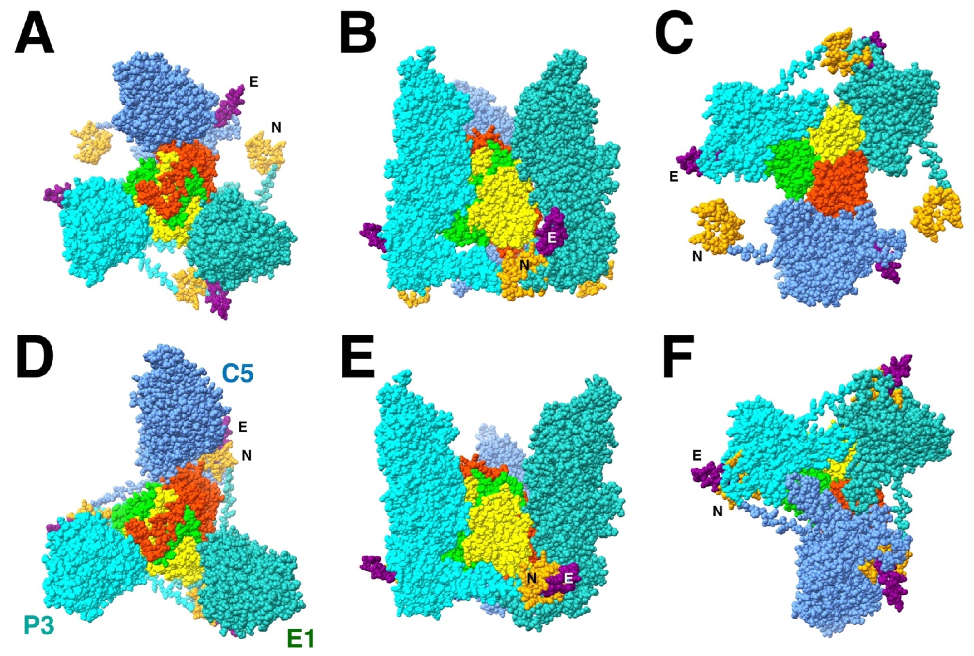Viruses 17 01153 g004 Viruses 17 01153 g004