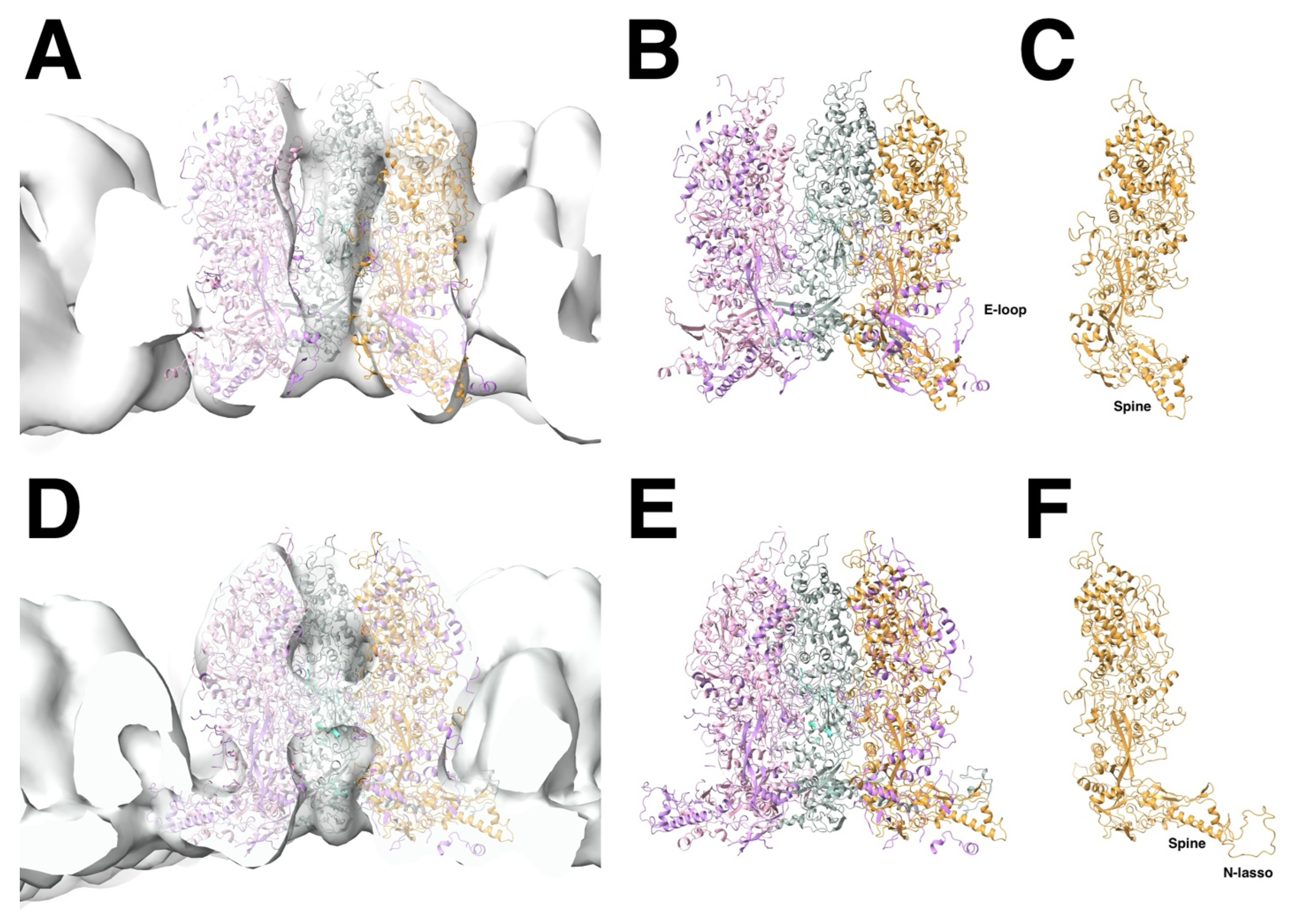 Viruses 17 01153 g009 Viruses 17 01153 g009