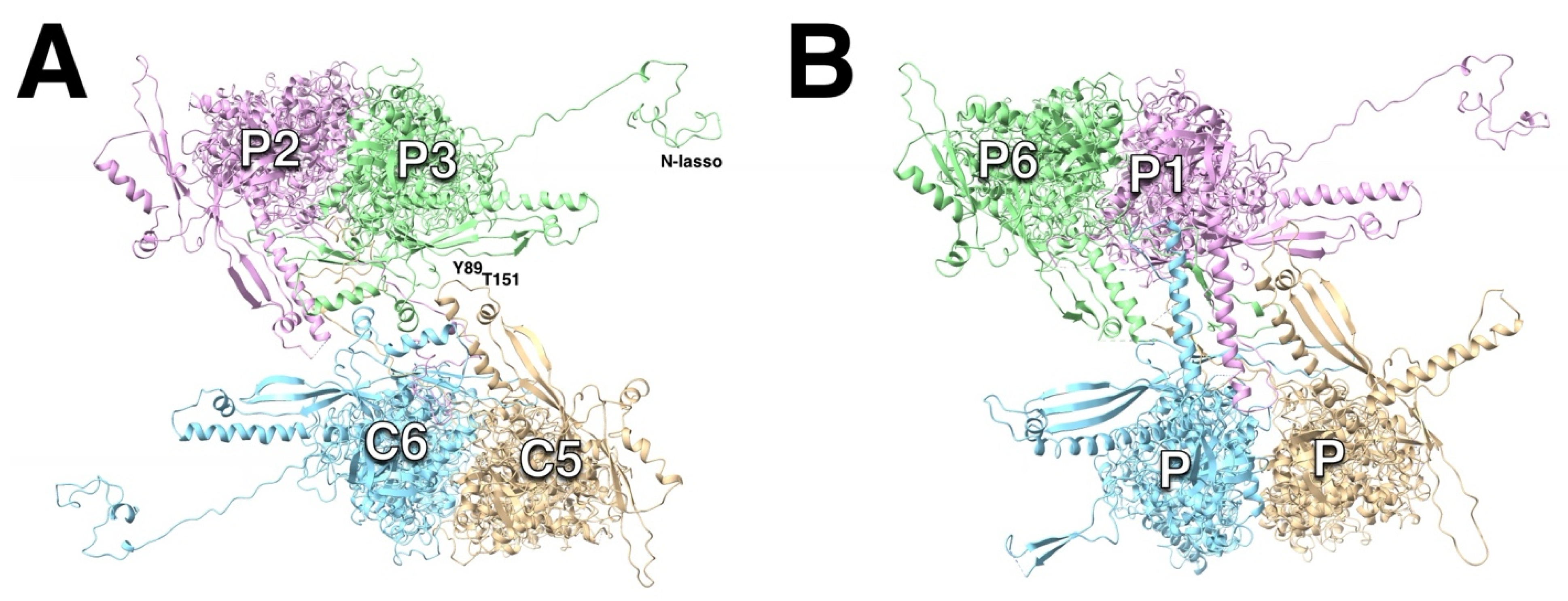 Viruses 17 01153 g010 Viruses 17 01153 g010