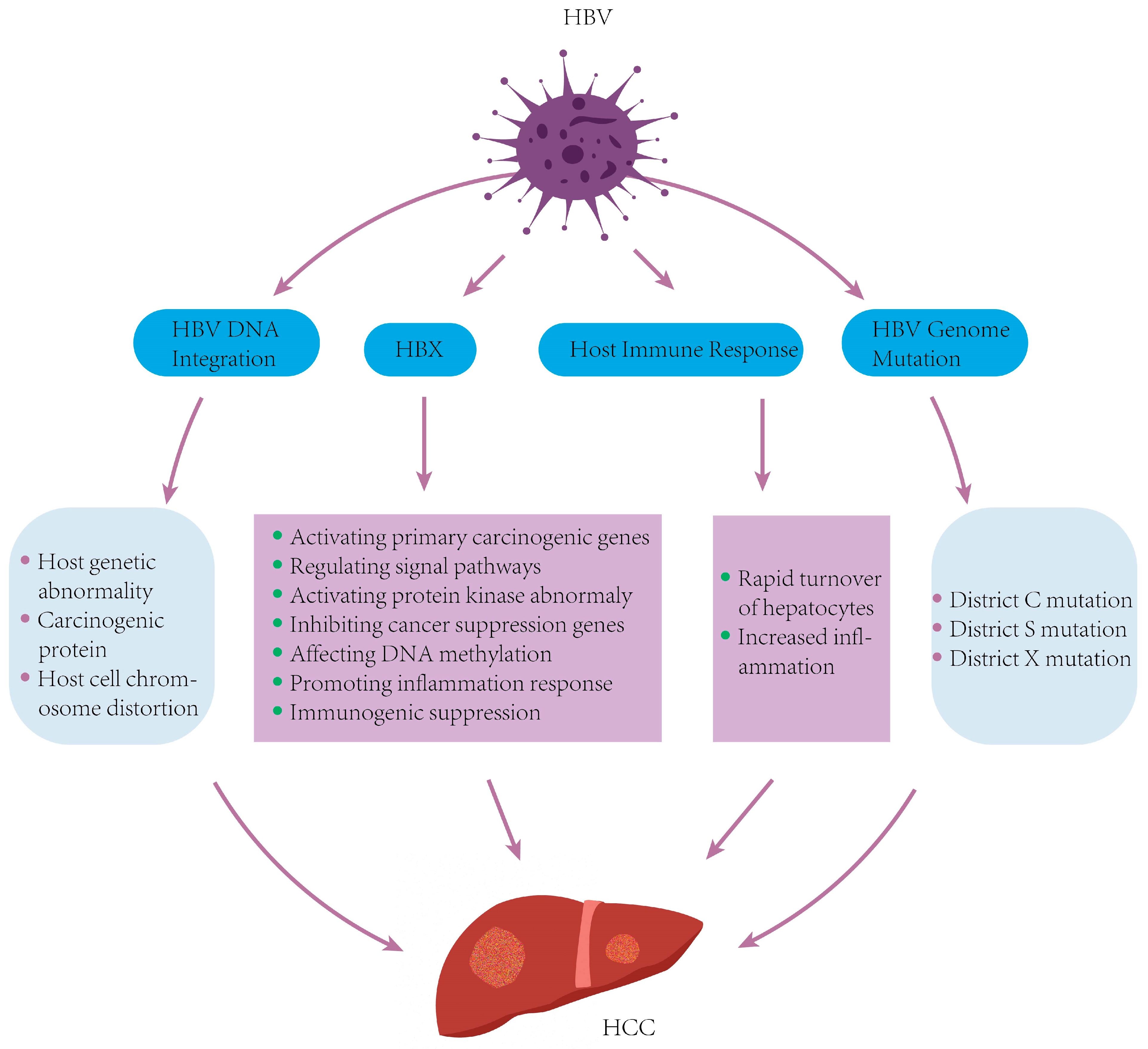 Viruses 17 01159 g004 Viruses 17 01159 g004