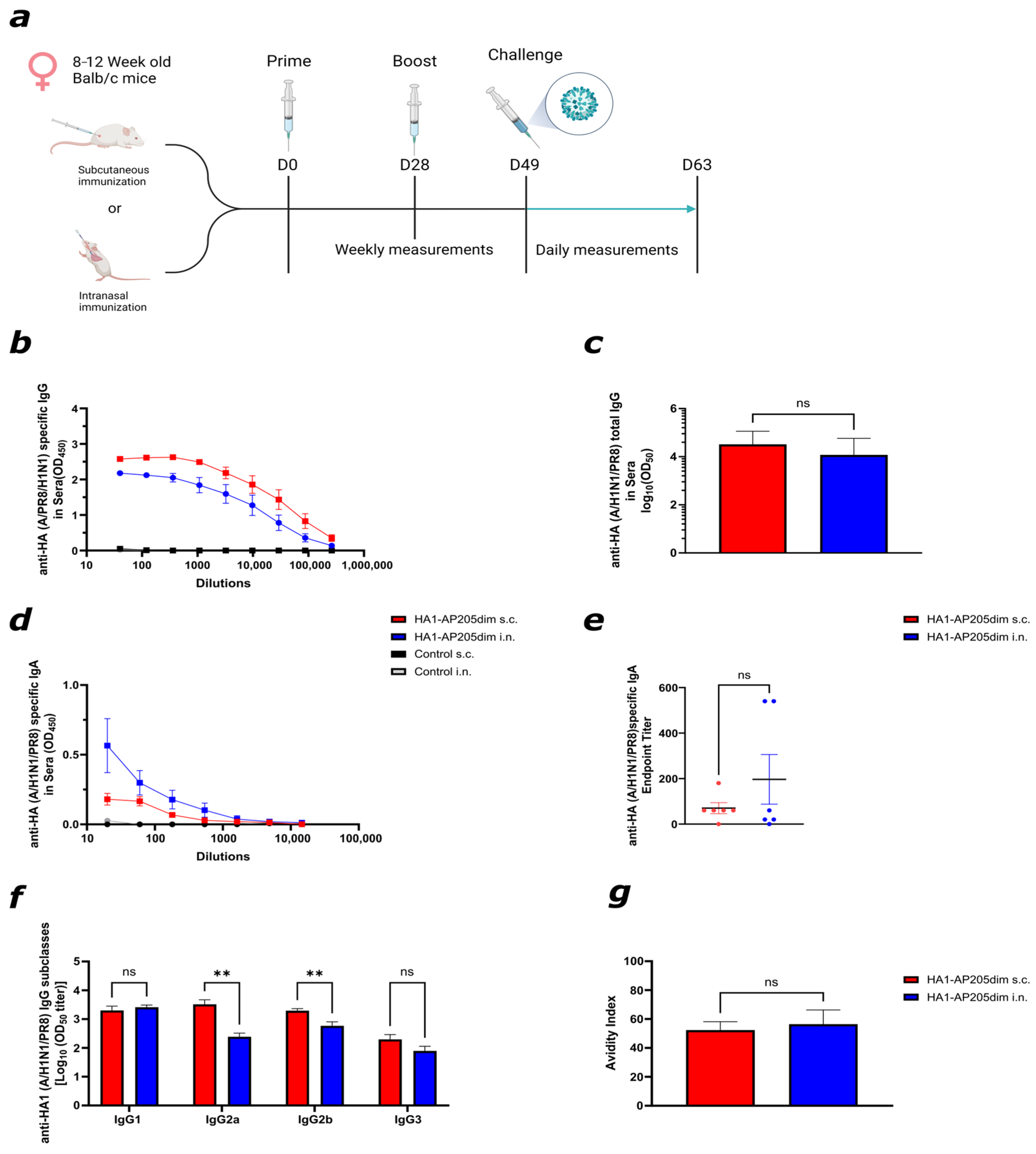 Viruses 17 01165 g002