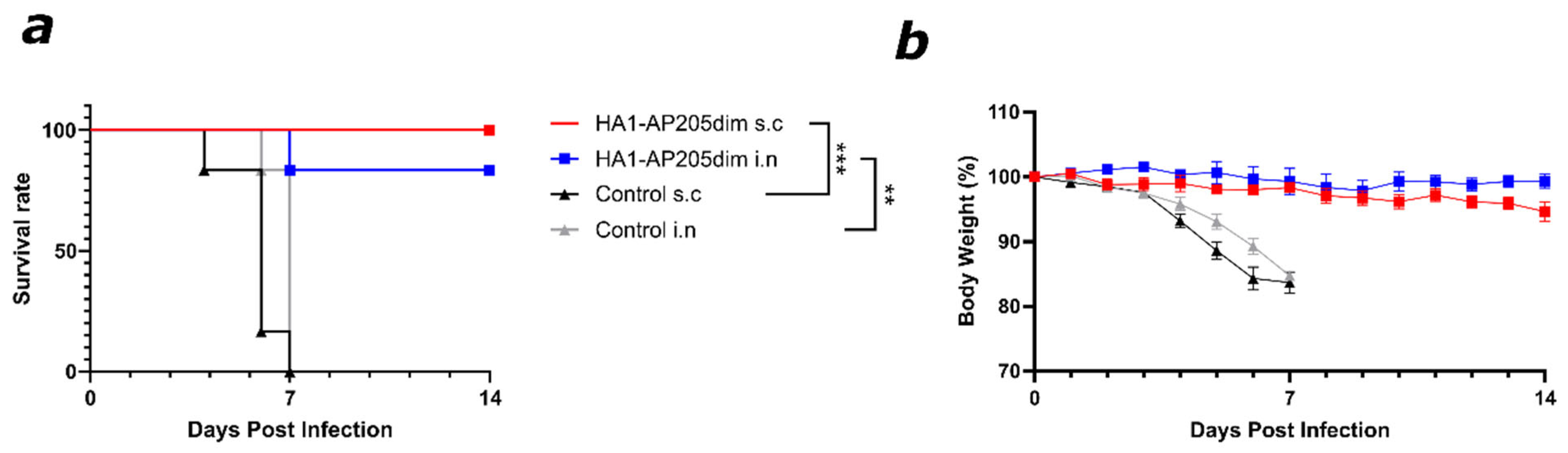 Viruses 17 01165 g005