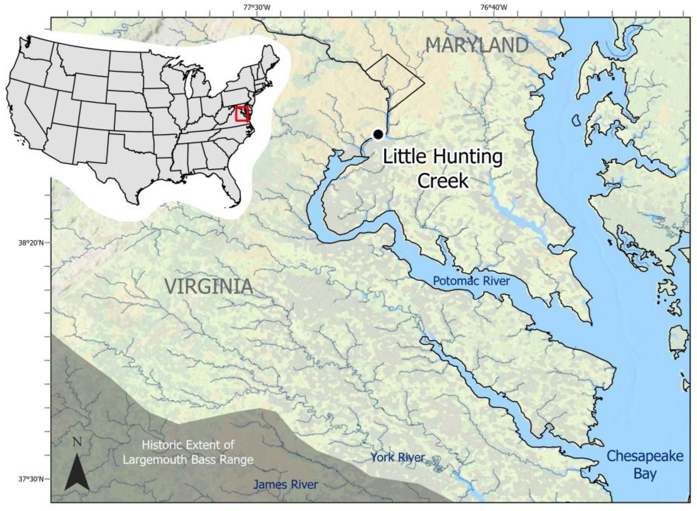 Viruses 17 01173 g001 Viruses 17 01173 g001