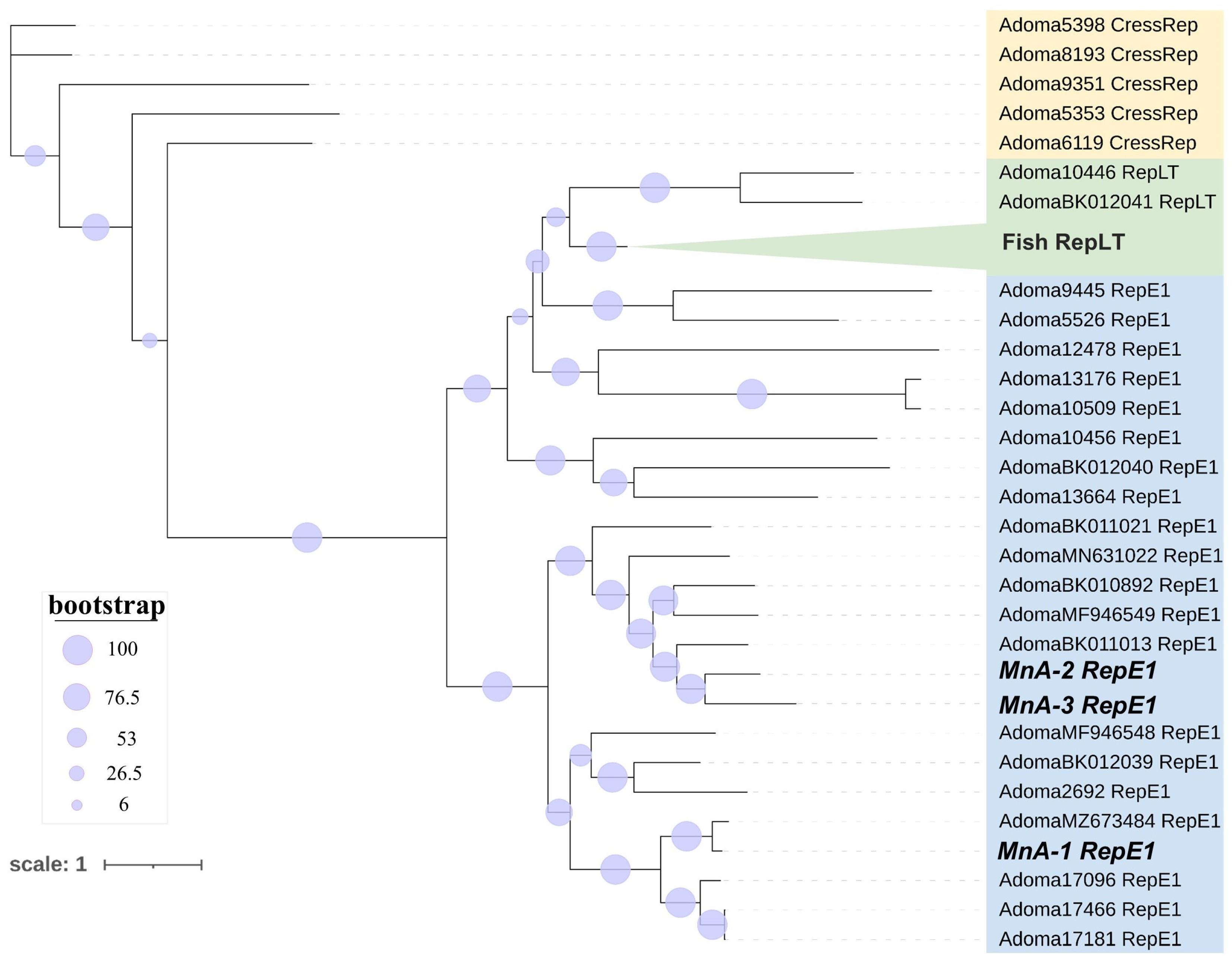 Viruses 17 01173 g008 Viruses 17 01173 g008