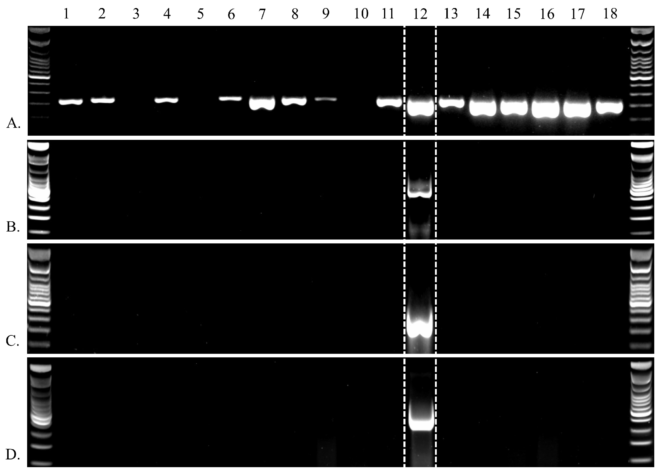 Viruses 17 01173 g009 Viruses 17 01173 g009