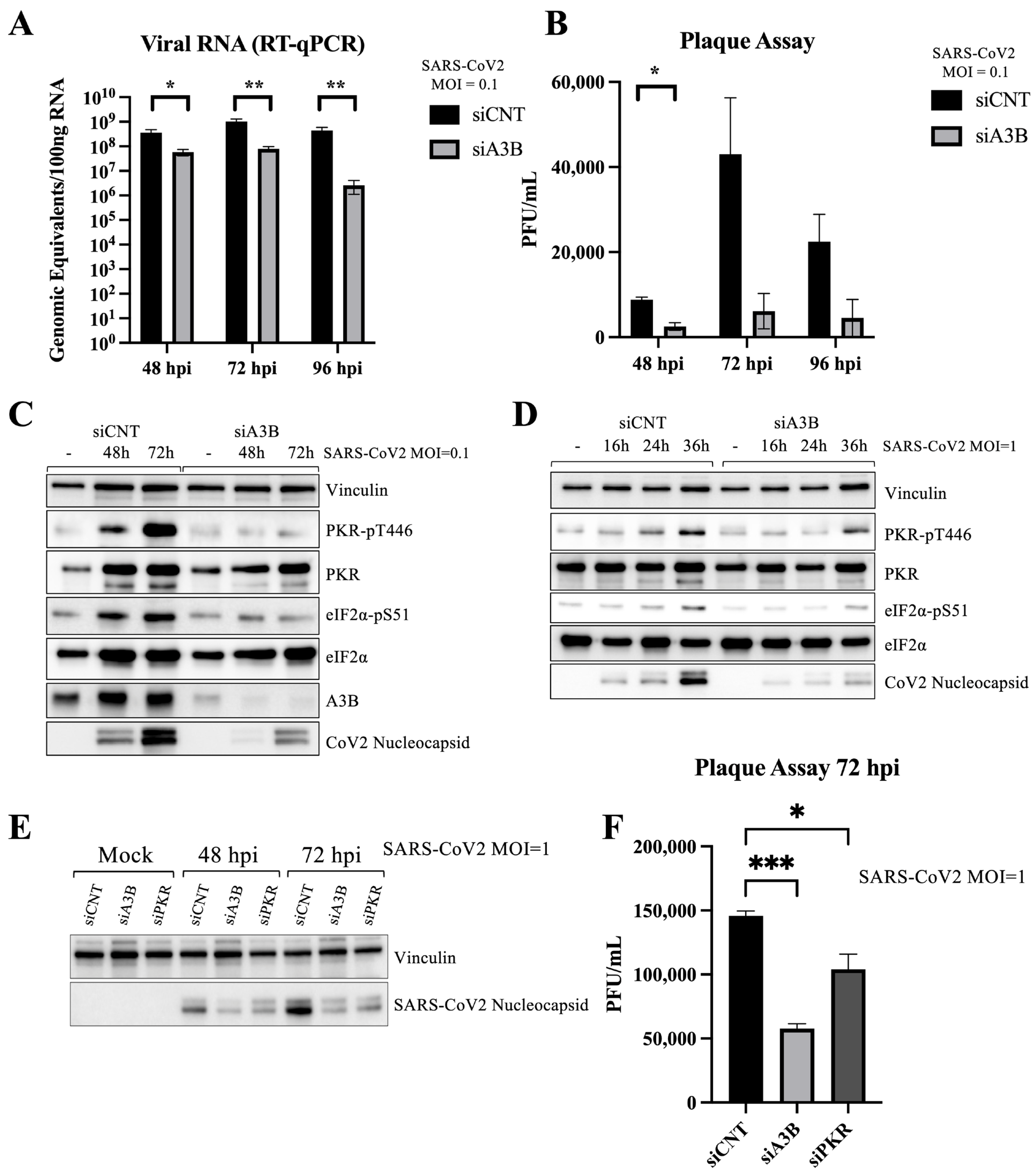 Viruses 17 01176 g002