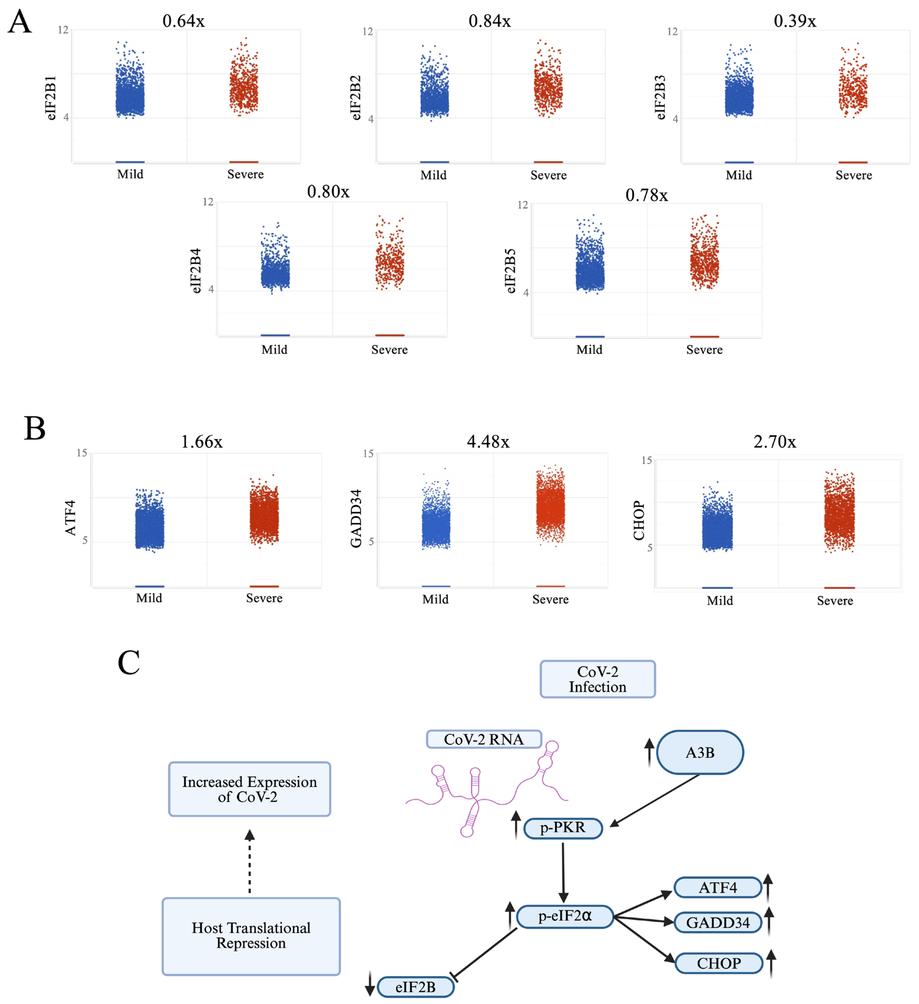 Viruses 17 01176 g003