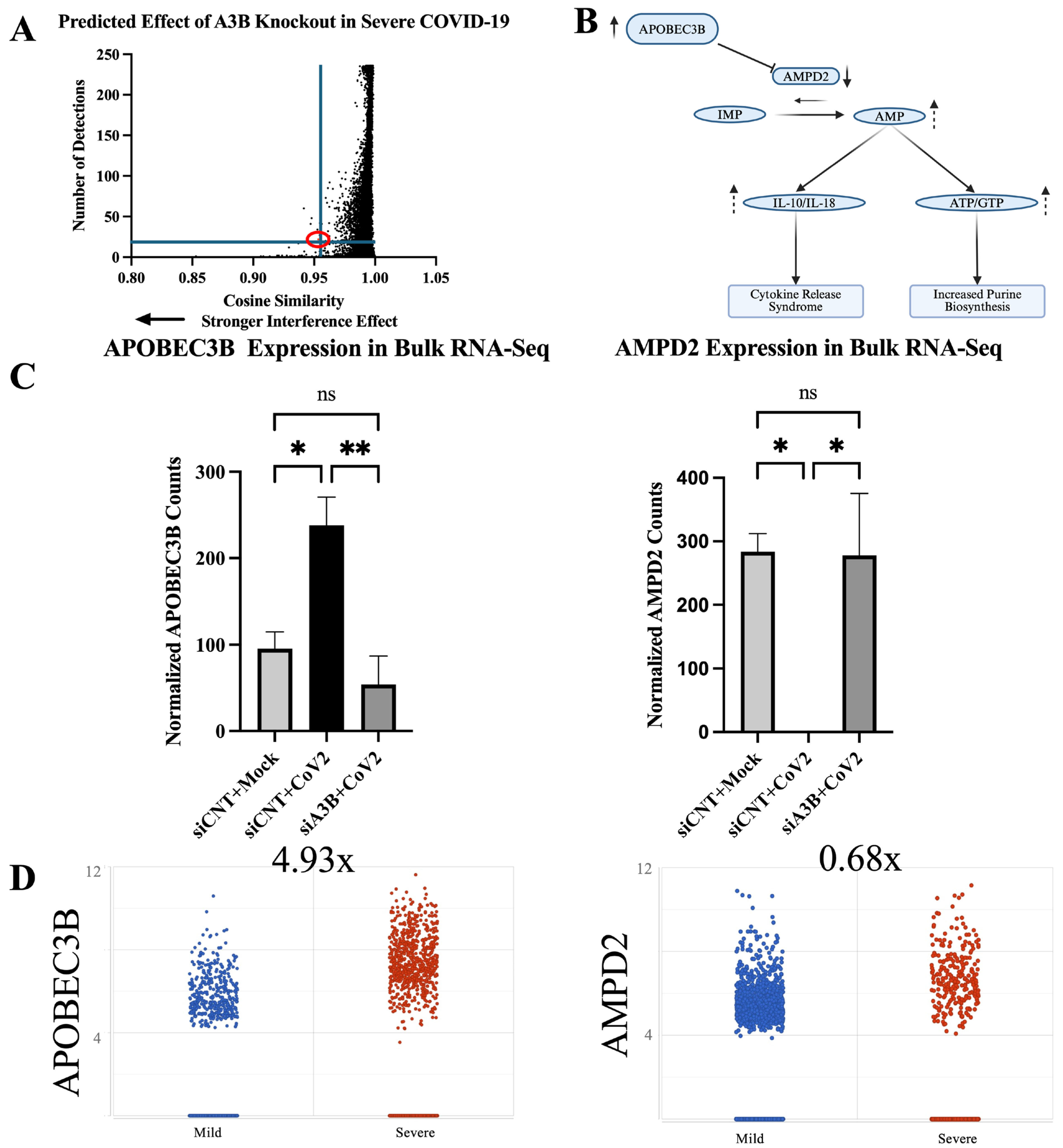 Viruses 17 01176 g005
