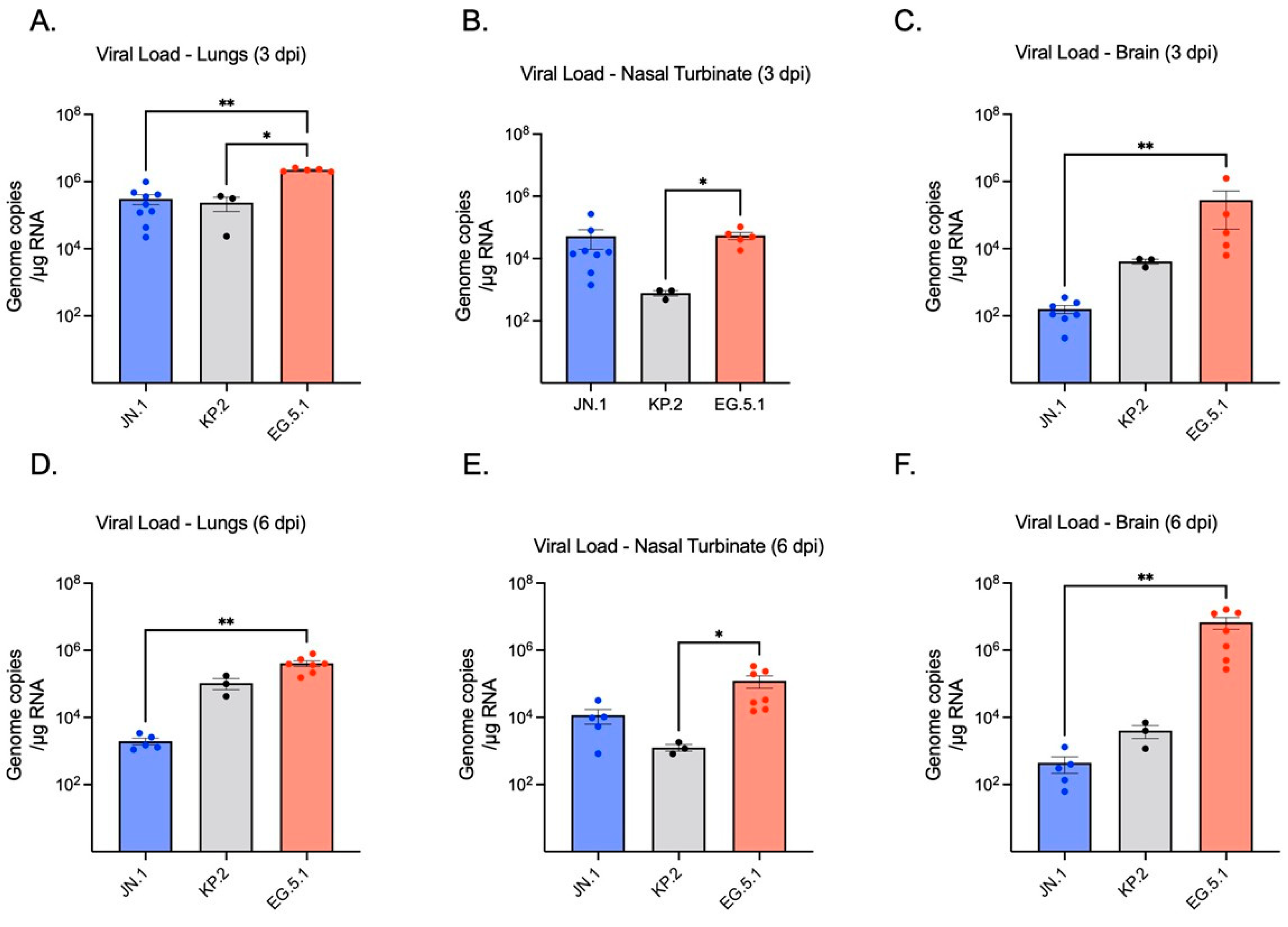 Viruses 17 01177 g002