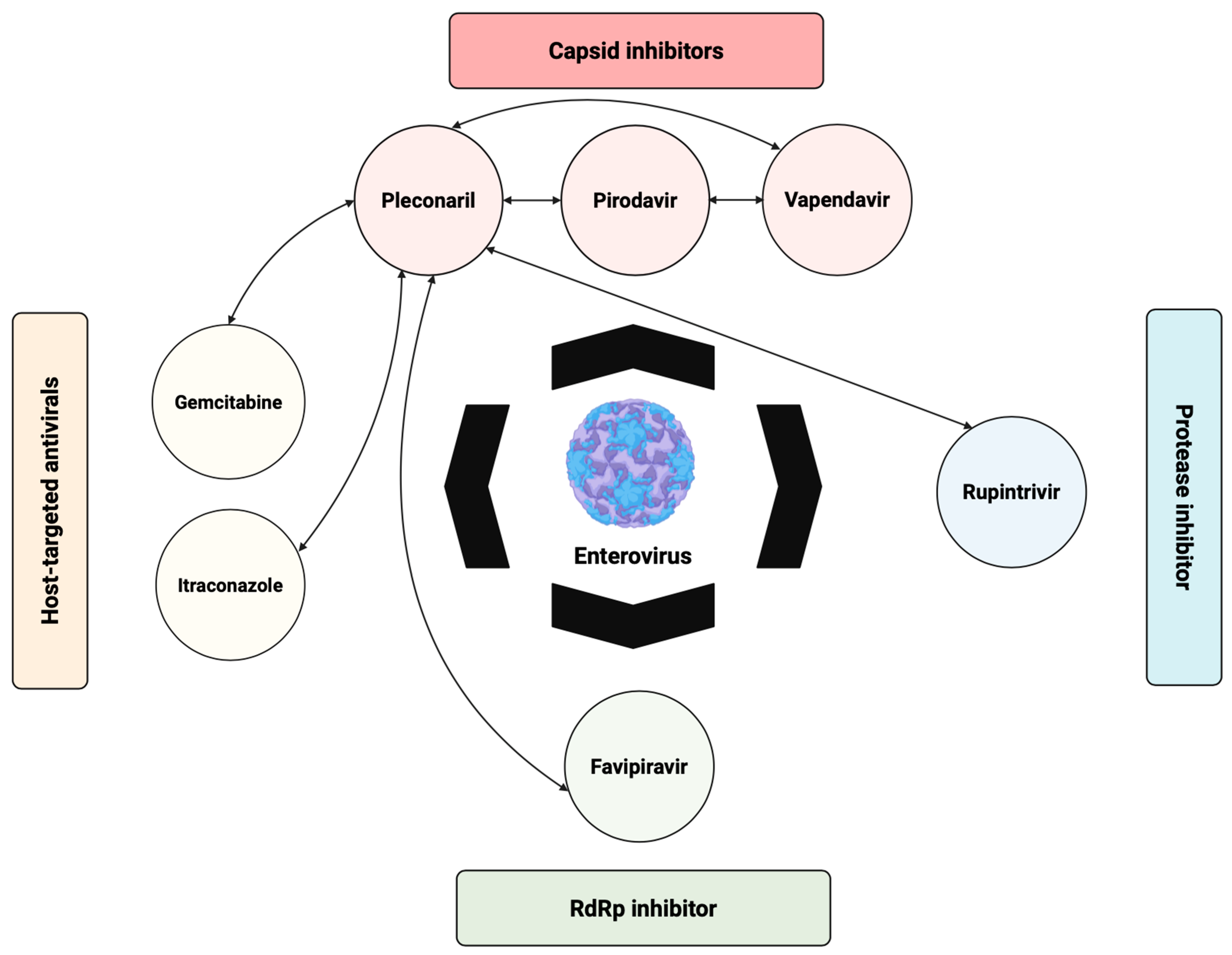Viruses 17 01178 g003