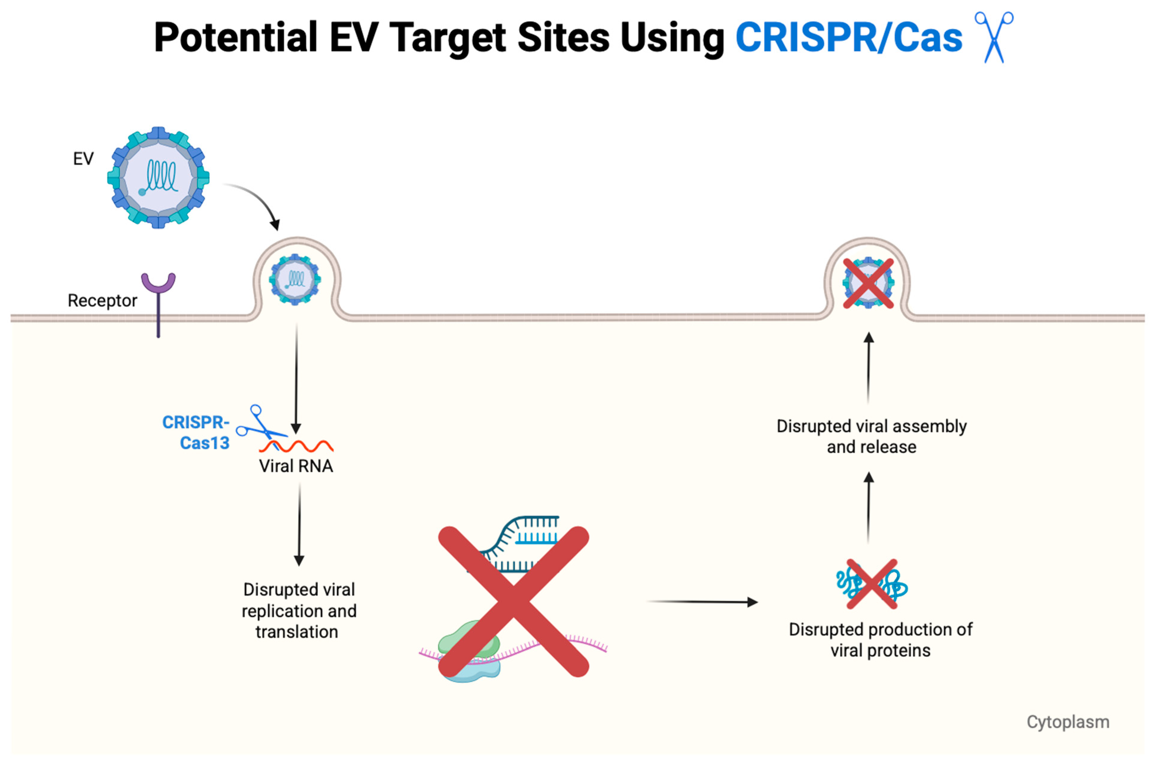 Viruses 17 01178 g007