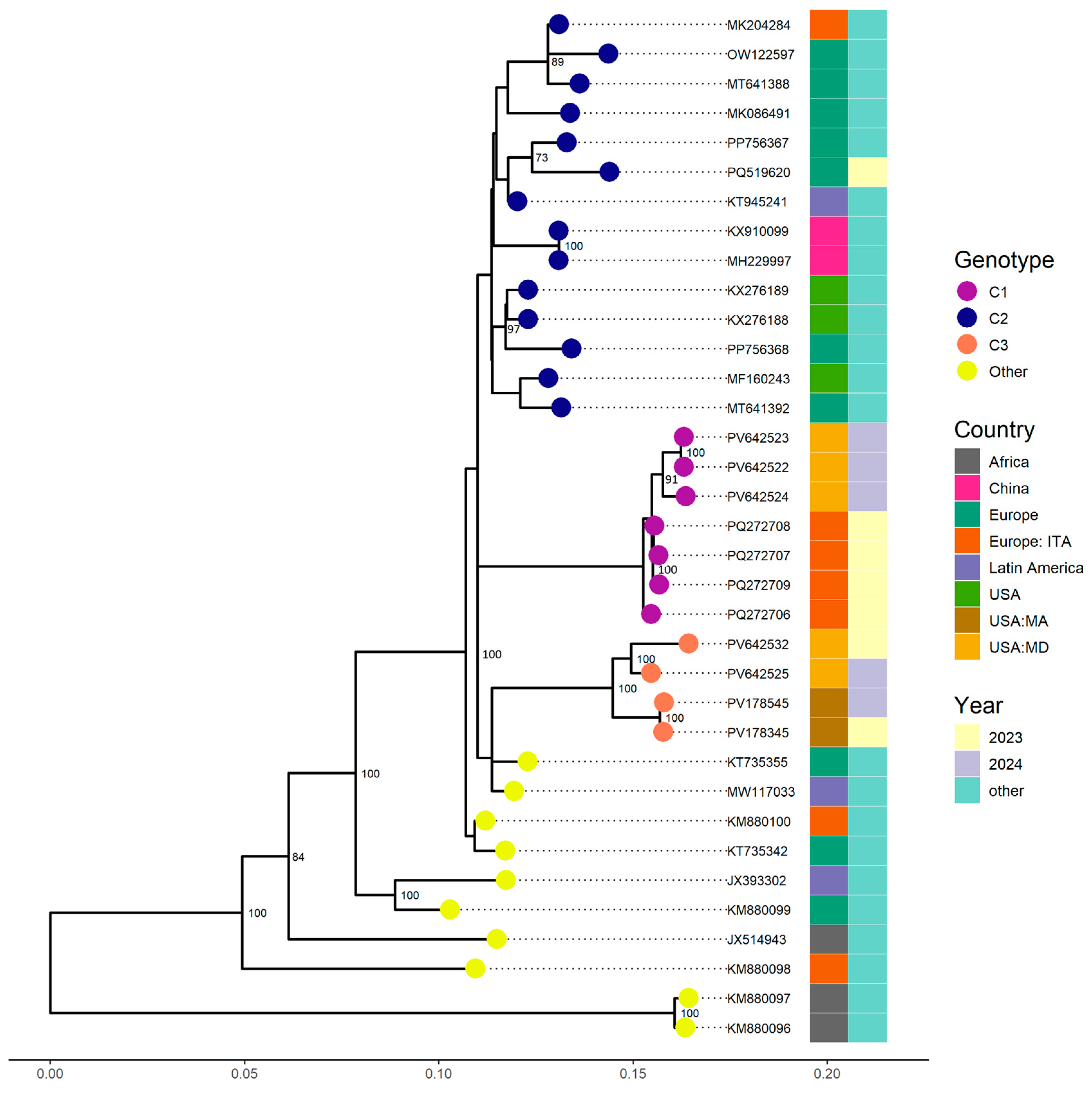 Viruses 17 01183 g001