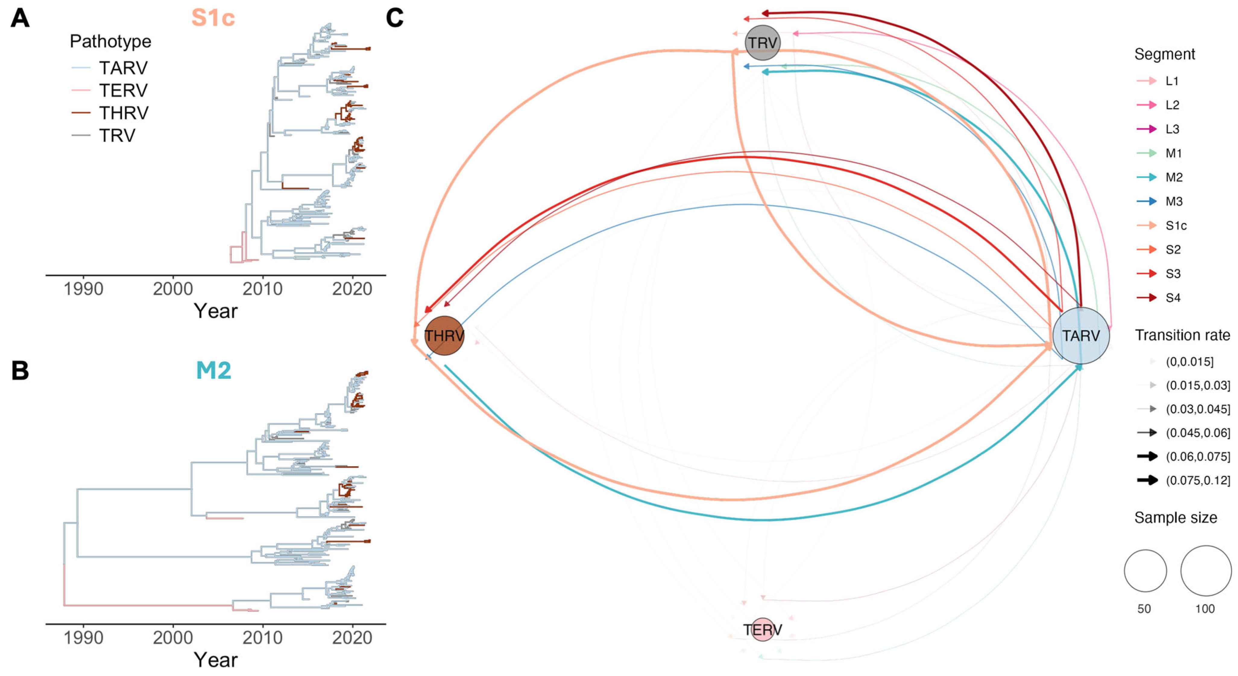 Viruses 17 01185 g004