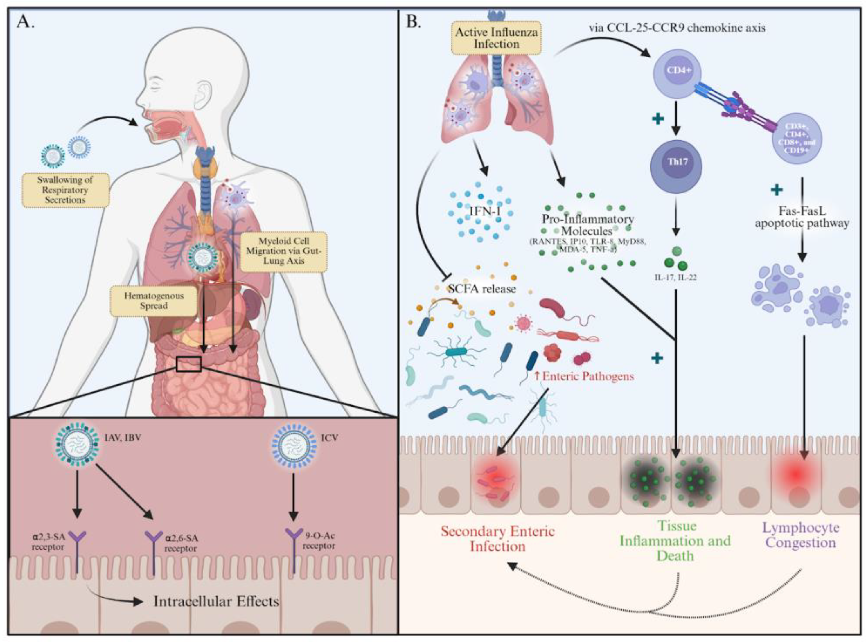 Viruses 17 01187 g001