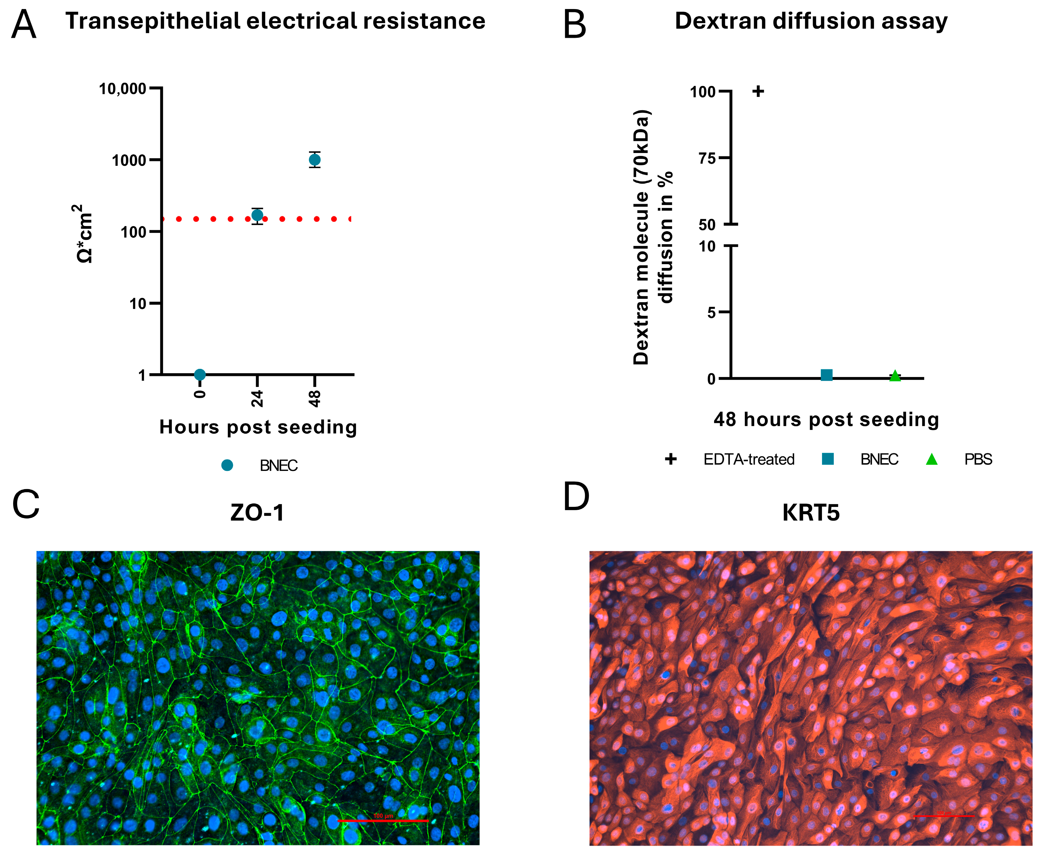 Viruses 17 01188 g001