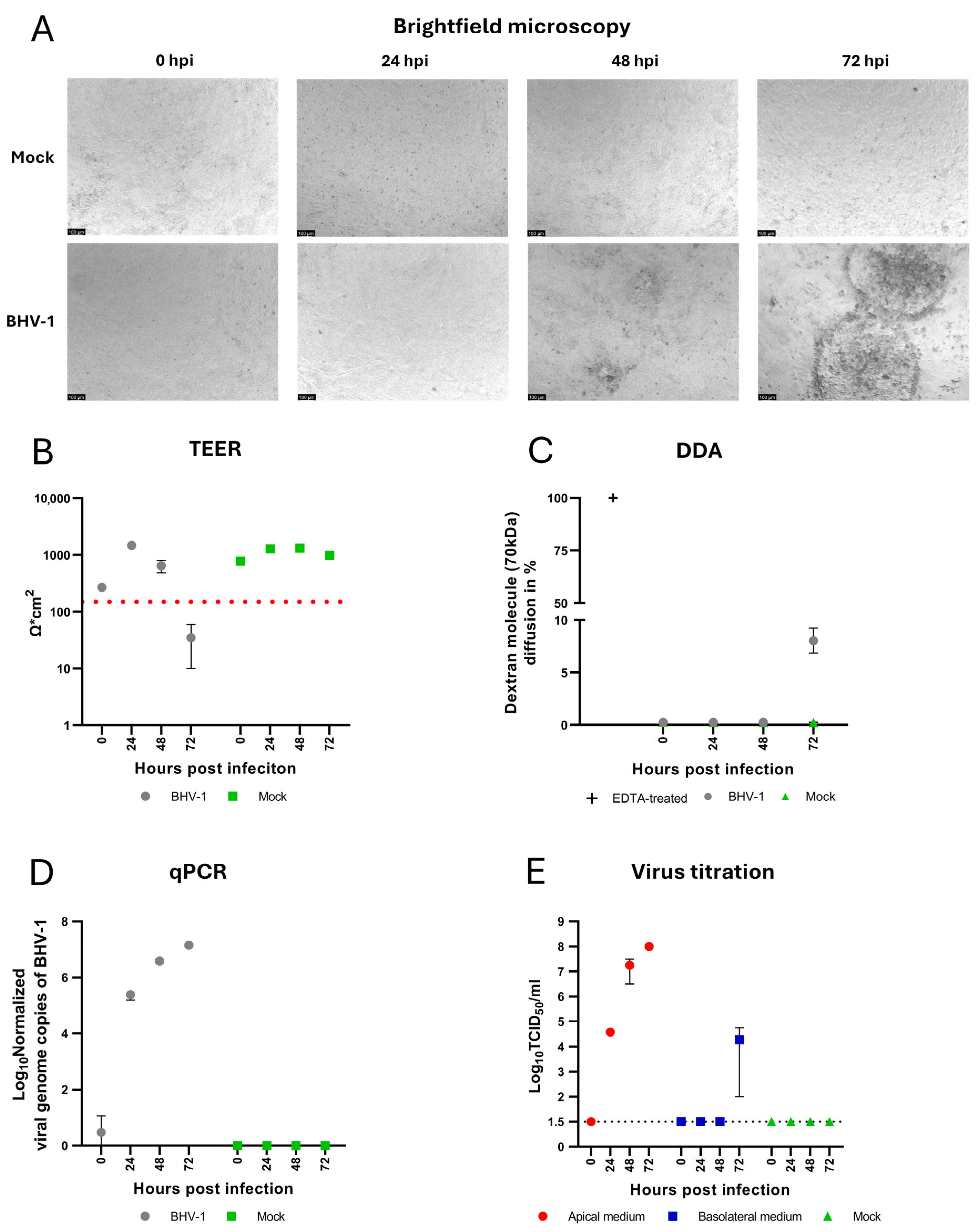 Viruses 17 01188 g003
