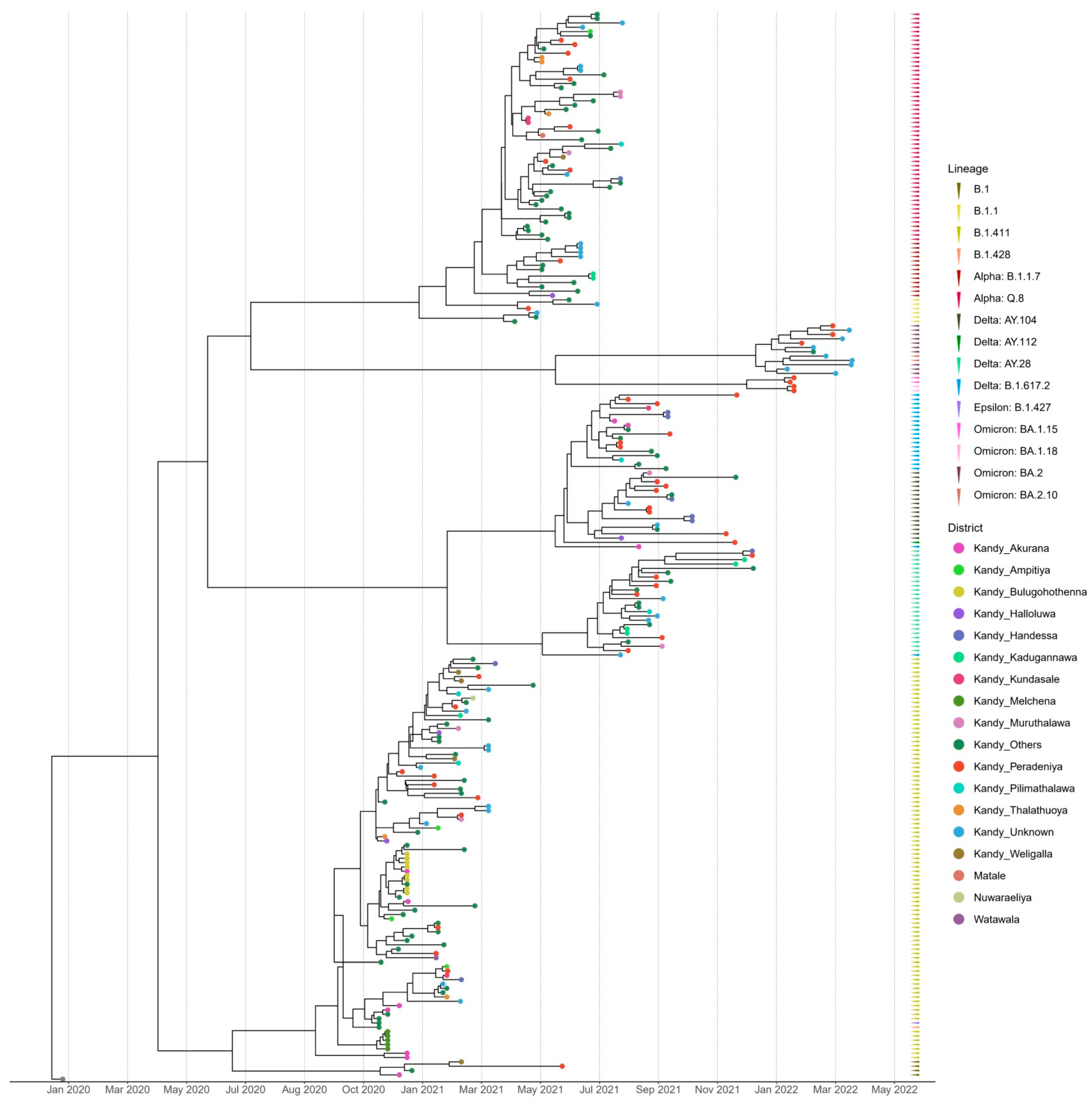 Viruses 17 01189 g002