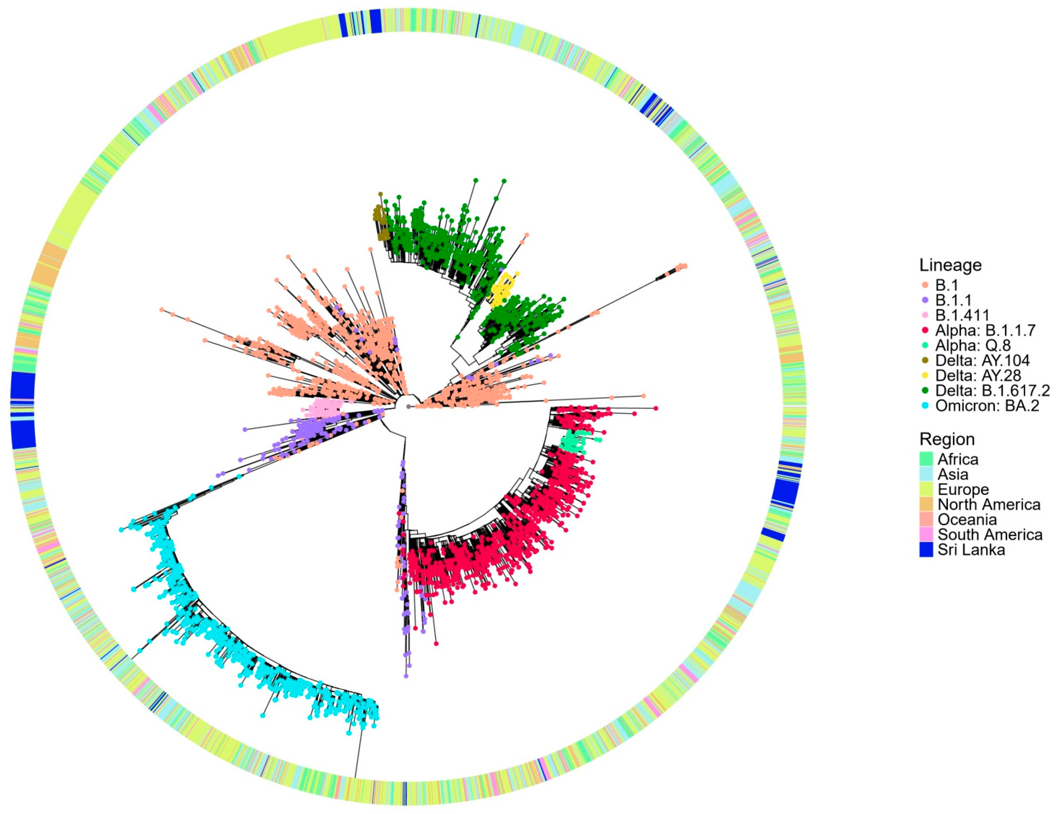 Viruses 17 01189 g003