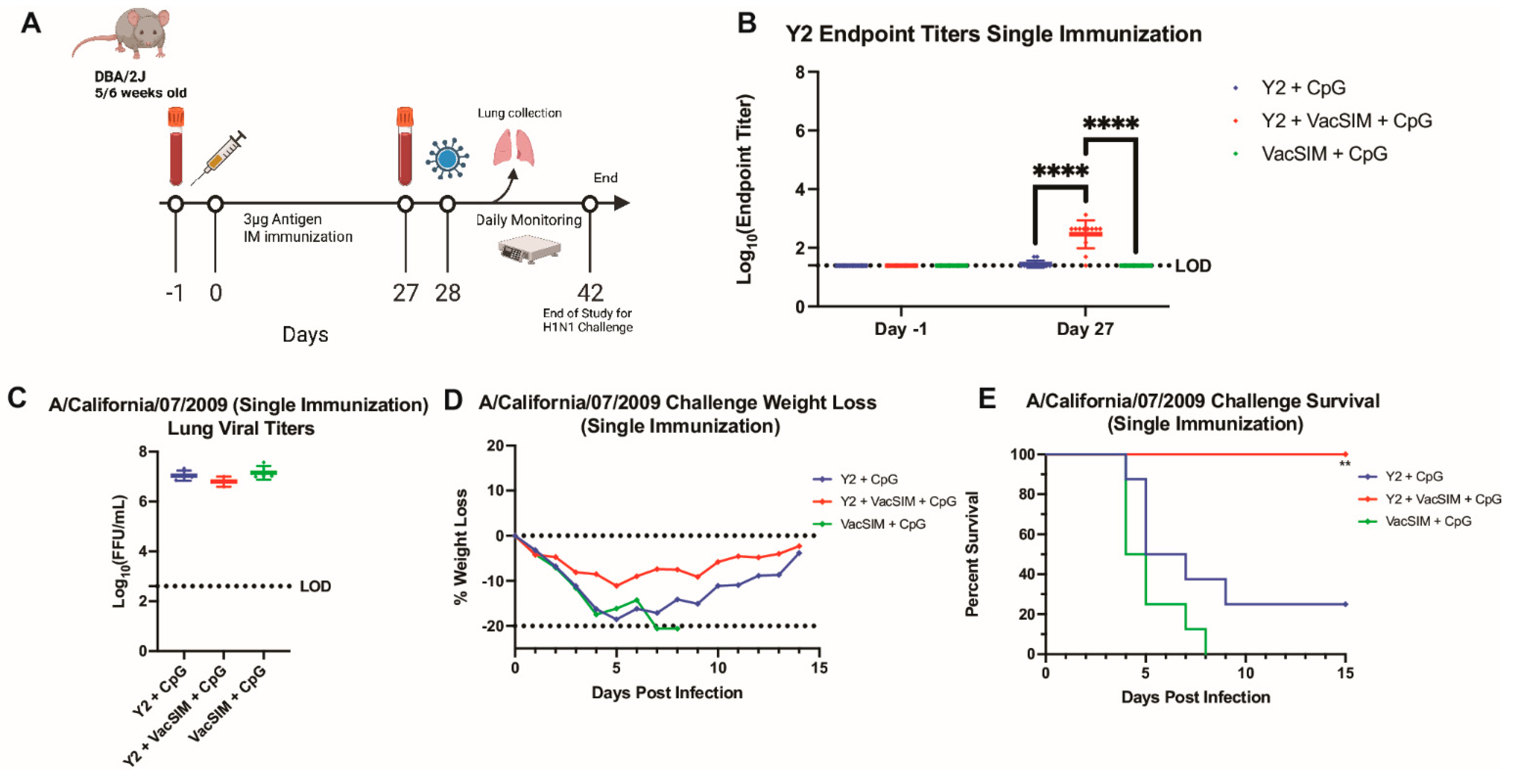 Viruses 17 01190 g006