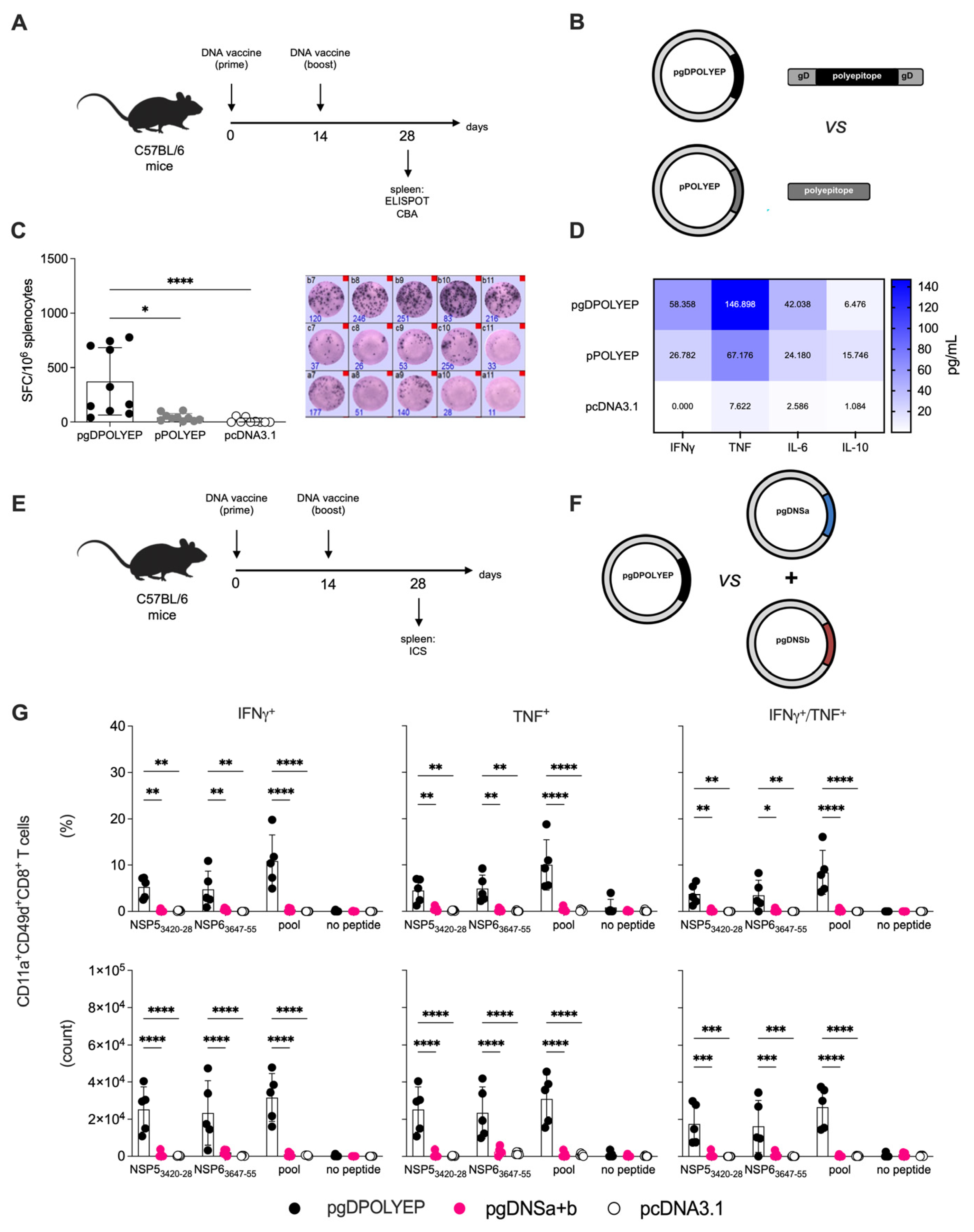 Viruses 17 01191 g002