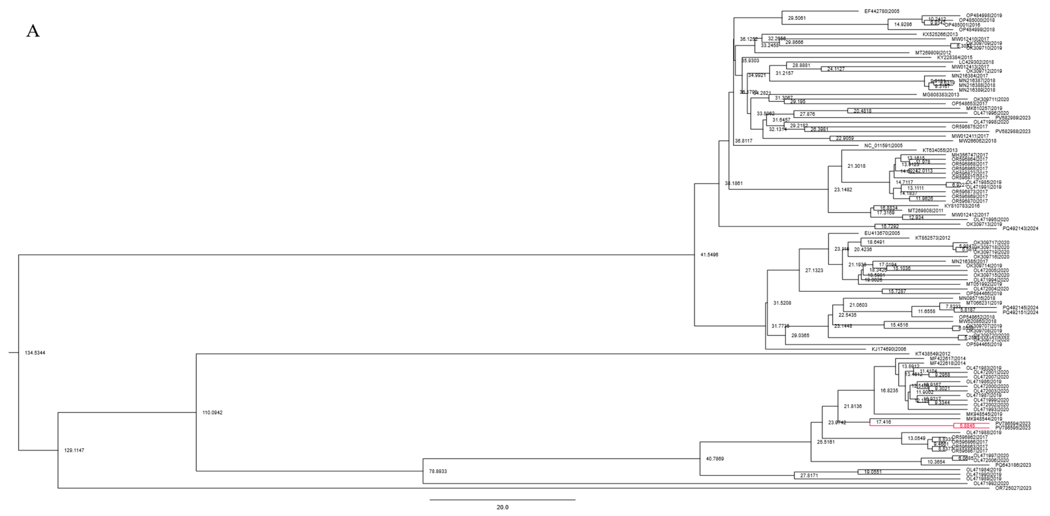Viruses 17 01193 g002a Viruses 17 01193 g002a
