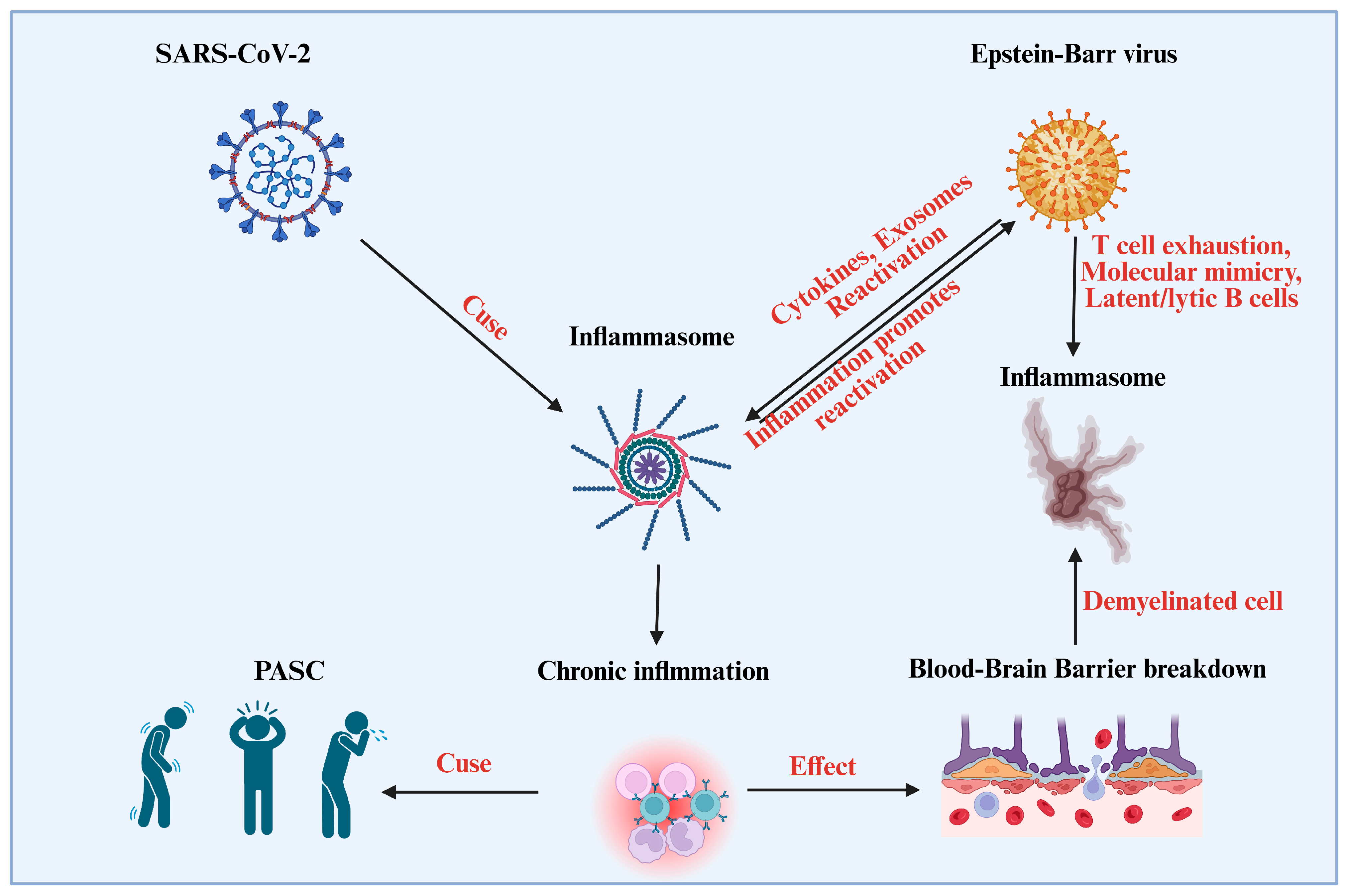 Viruses 17 01195 g001