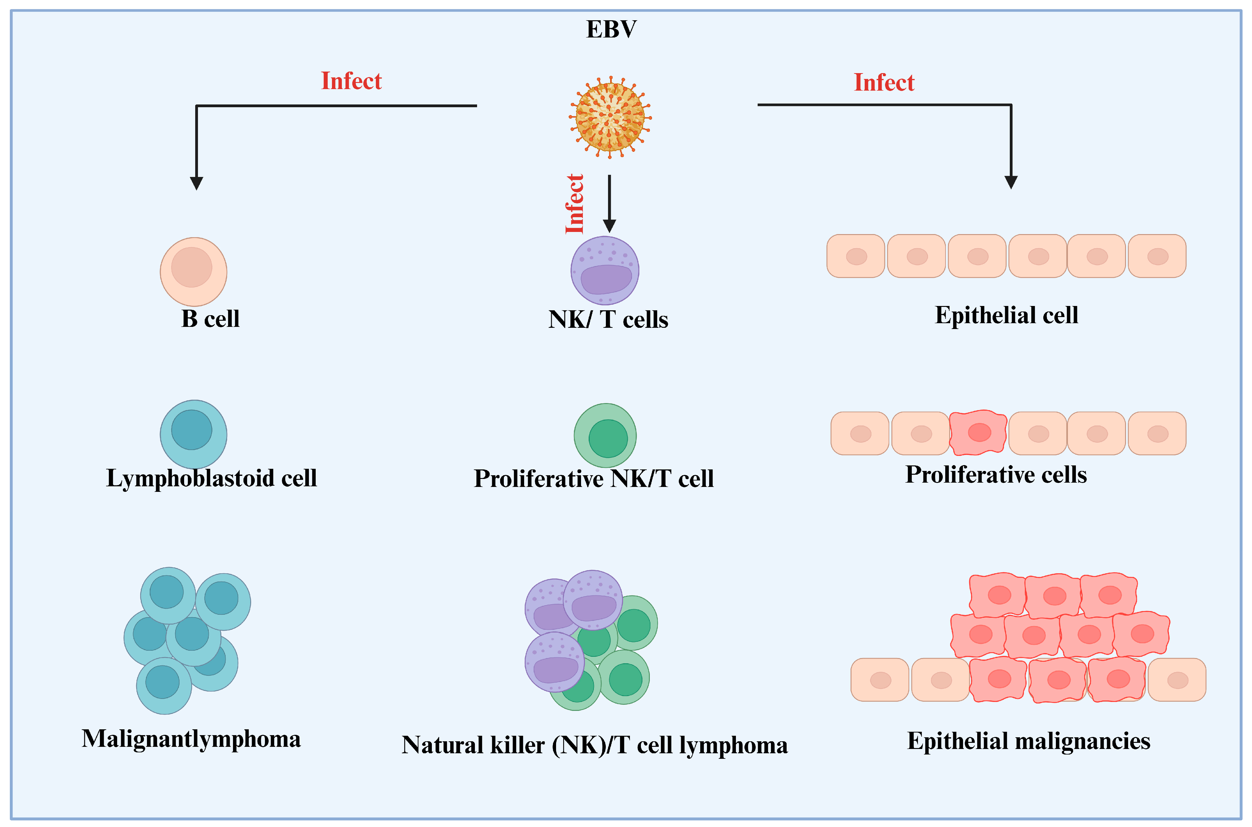 Viruses 17 01195 g002