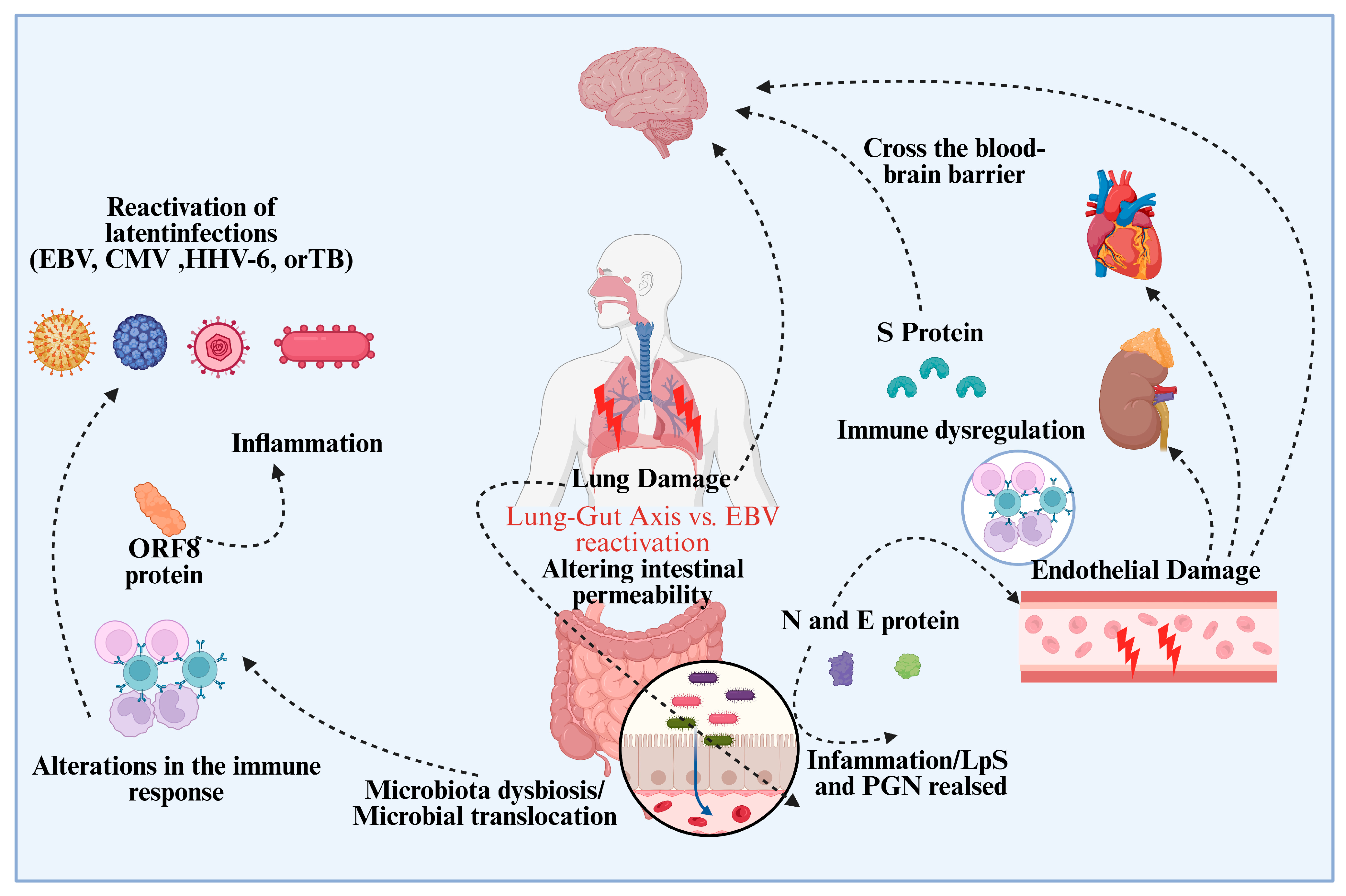 Viruses 17 01195 g004