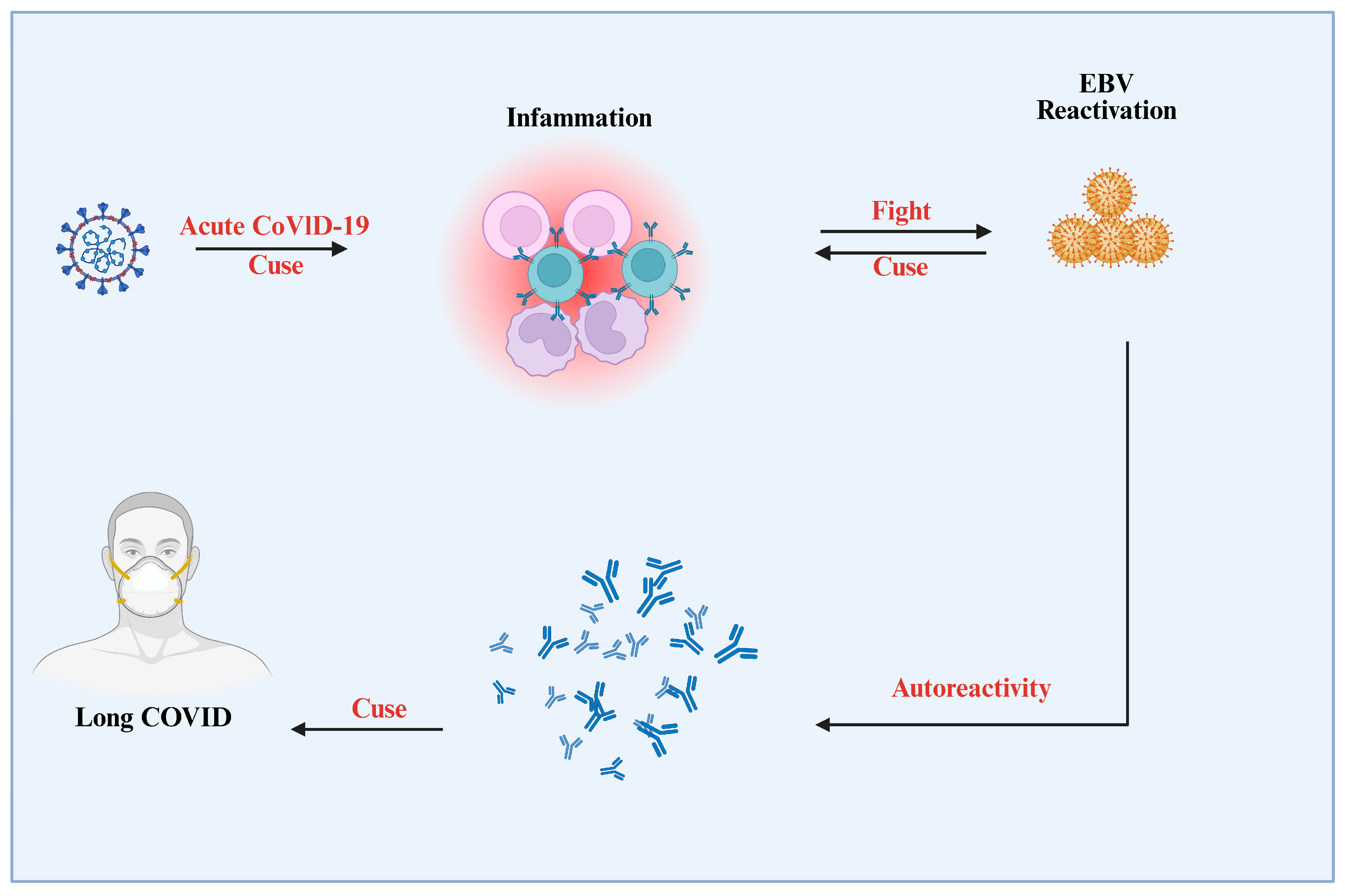 Viruses 17 01195 g005