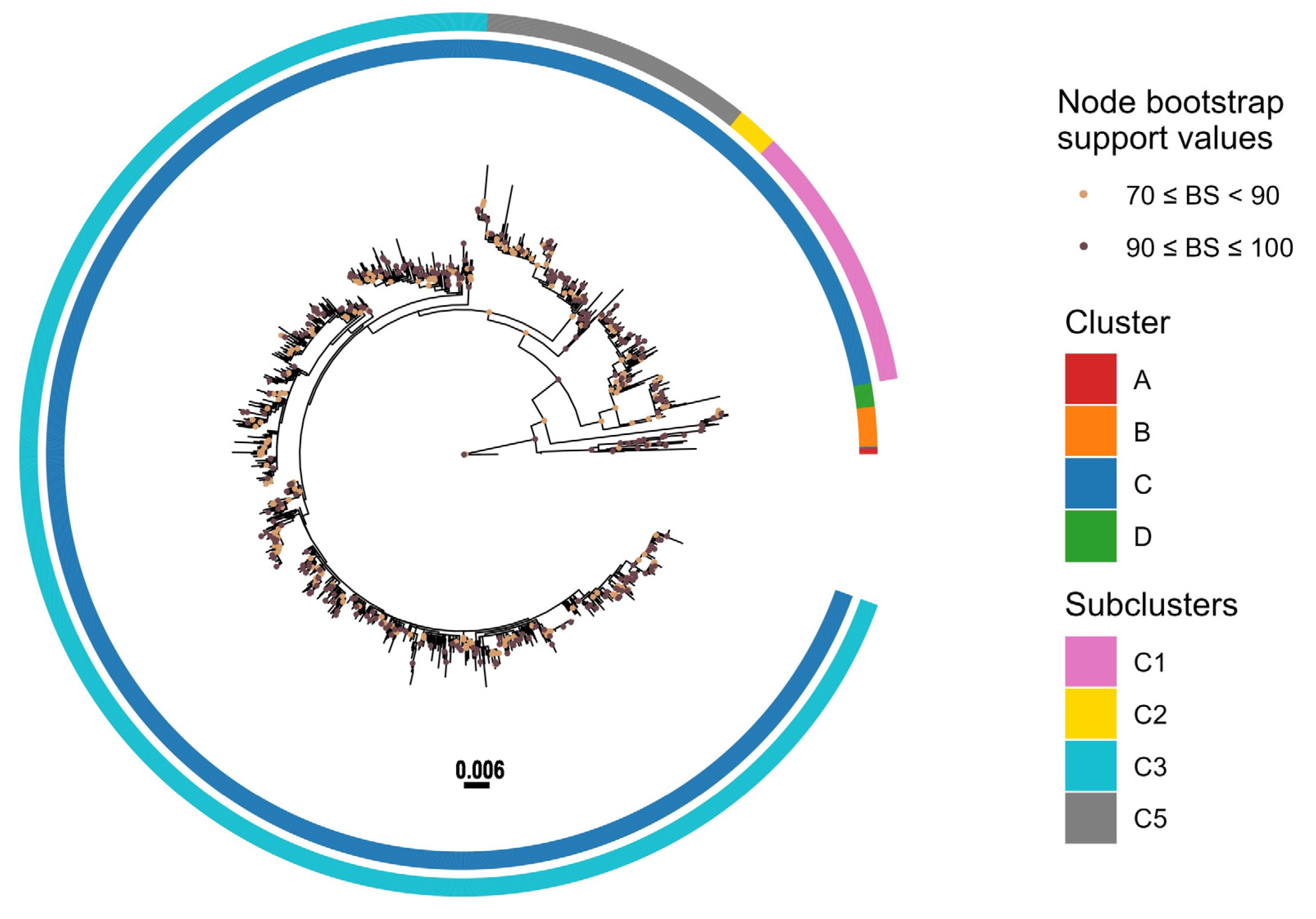 Viruses 17 01197 g004 Viruses 17 01197 g004