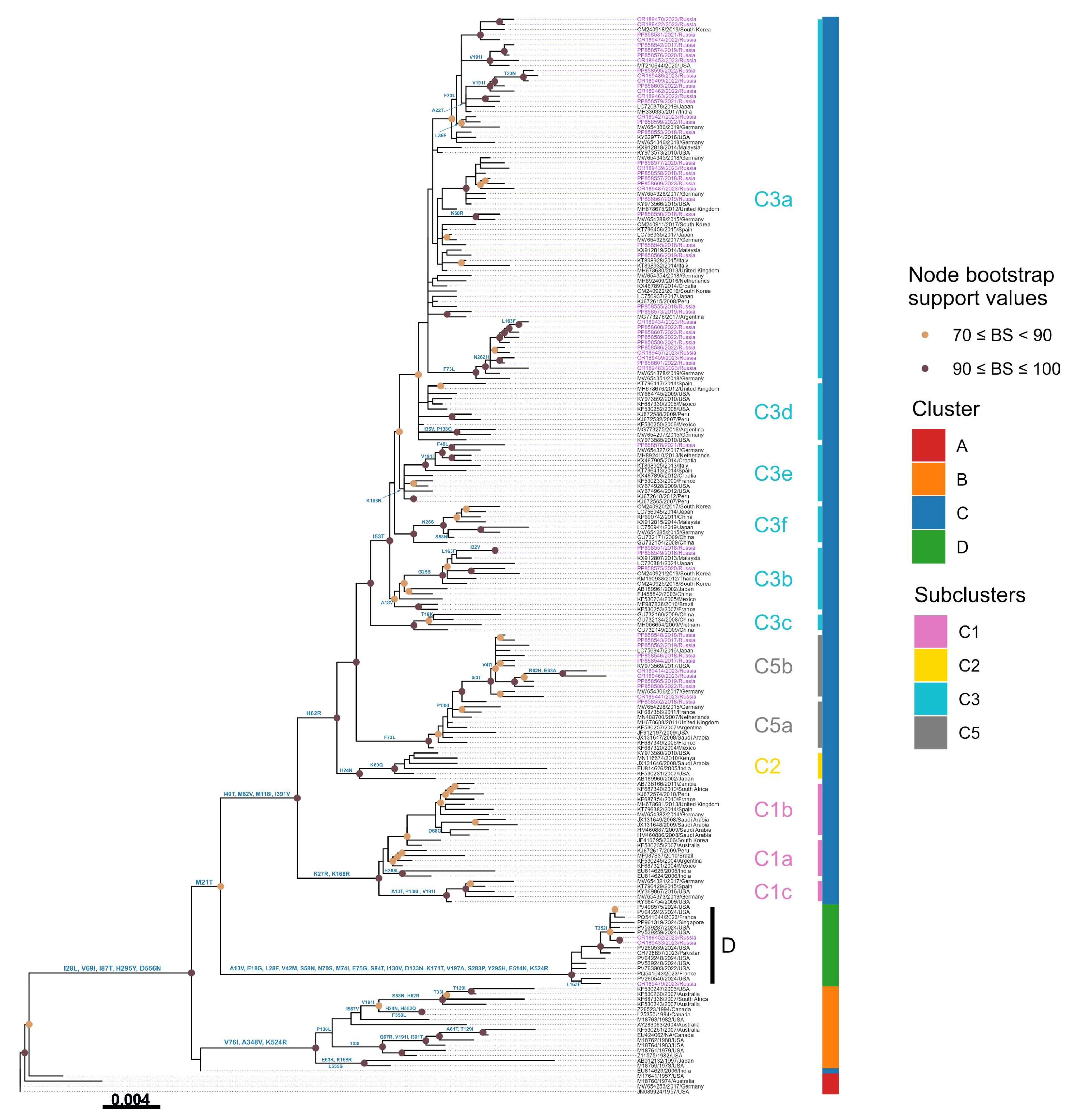 Viruses 17 01197 g005 Viruses 17 01197 g005