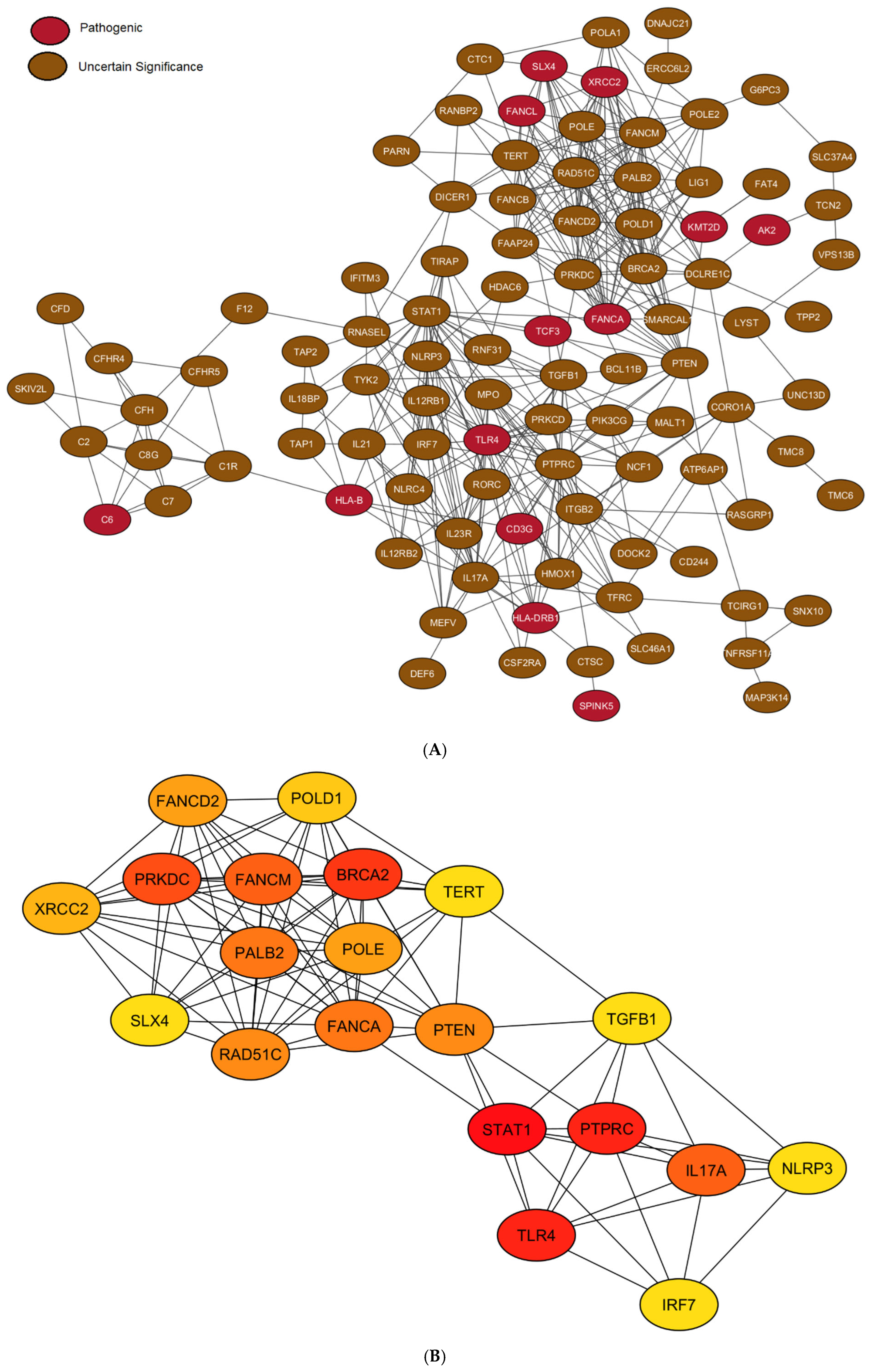 Viruses 17 01198 g004