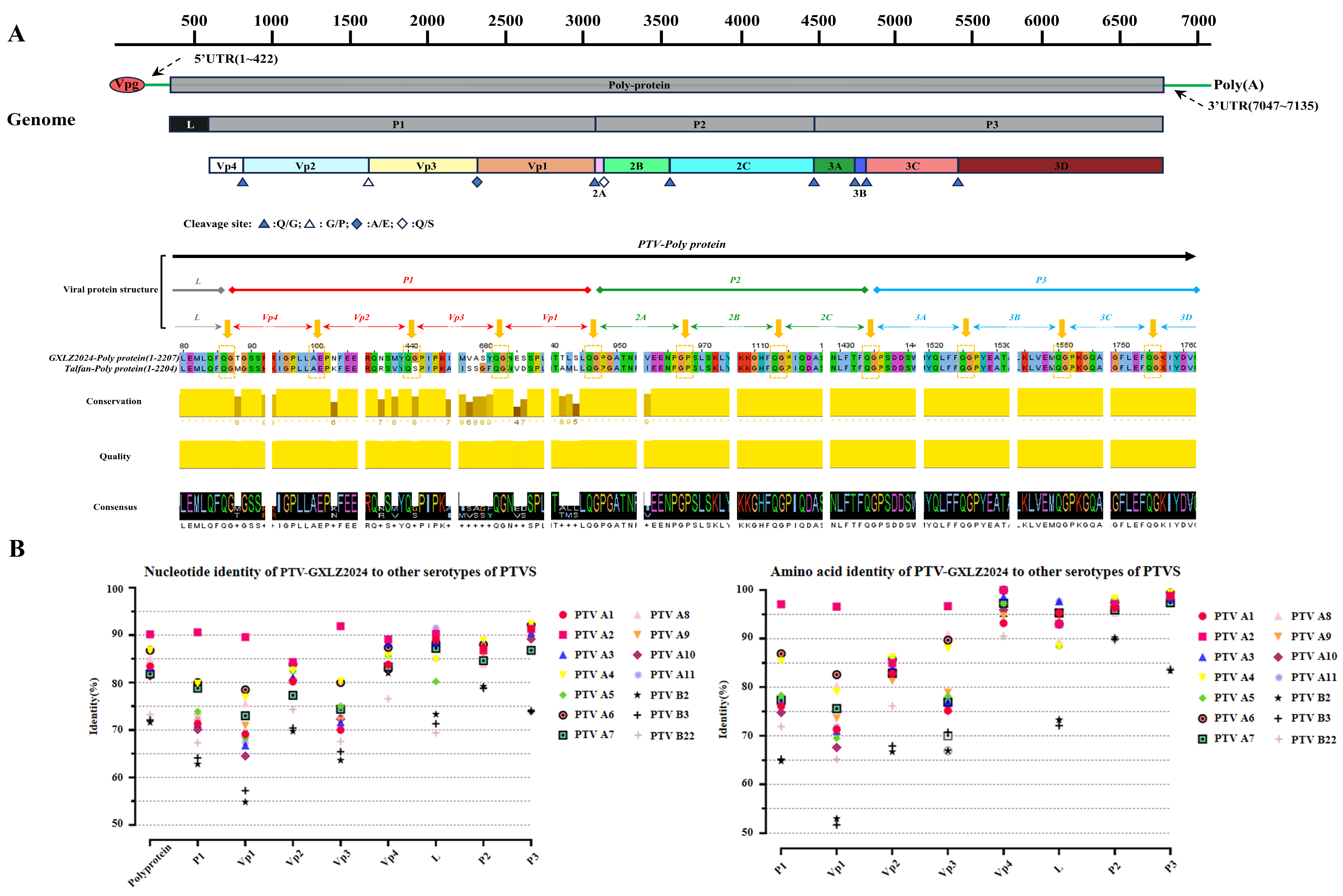 Viruses 17 01200 g002