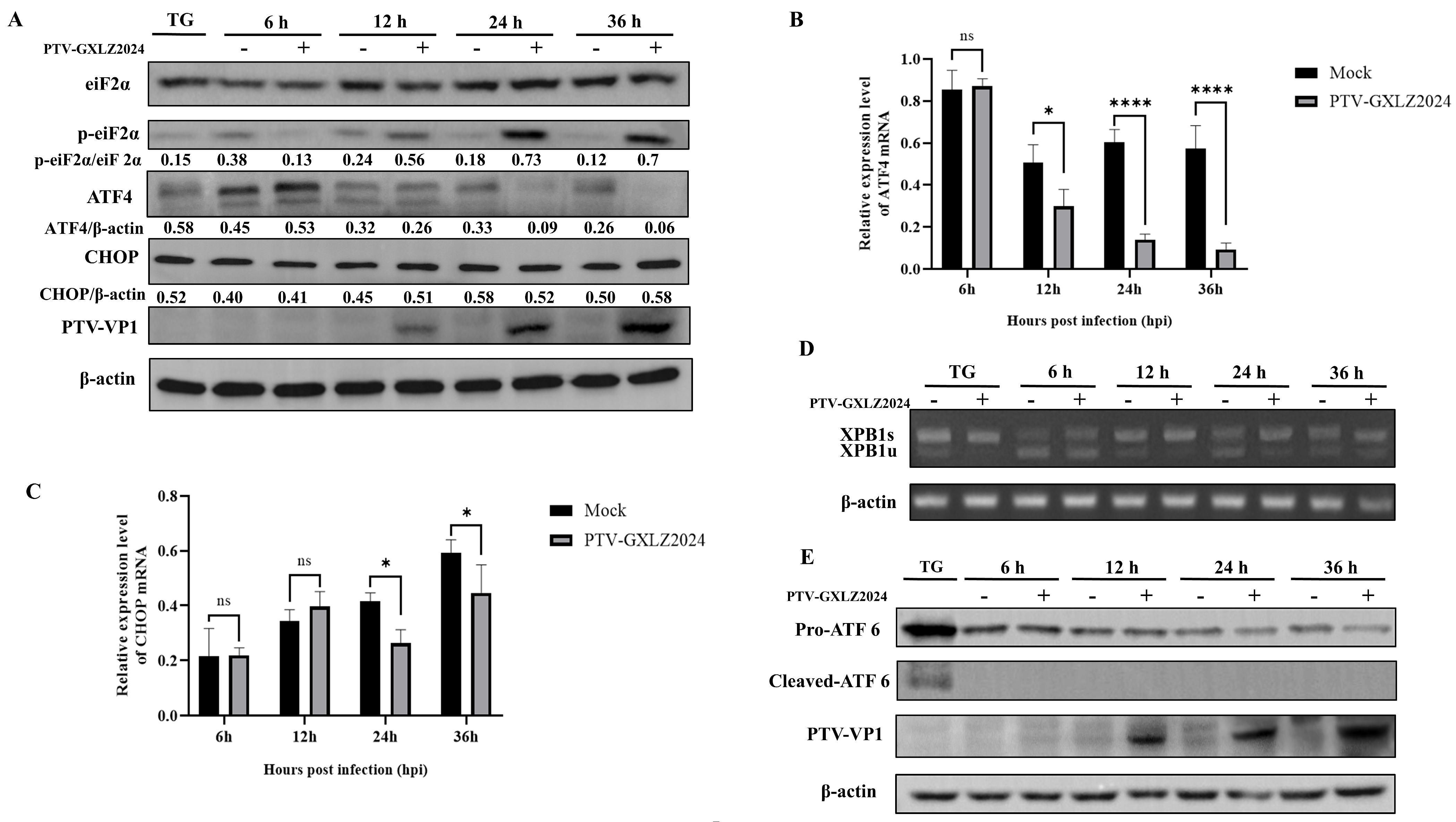 Viruses 17 01200 g005