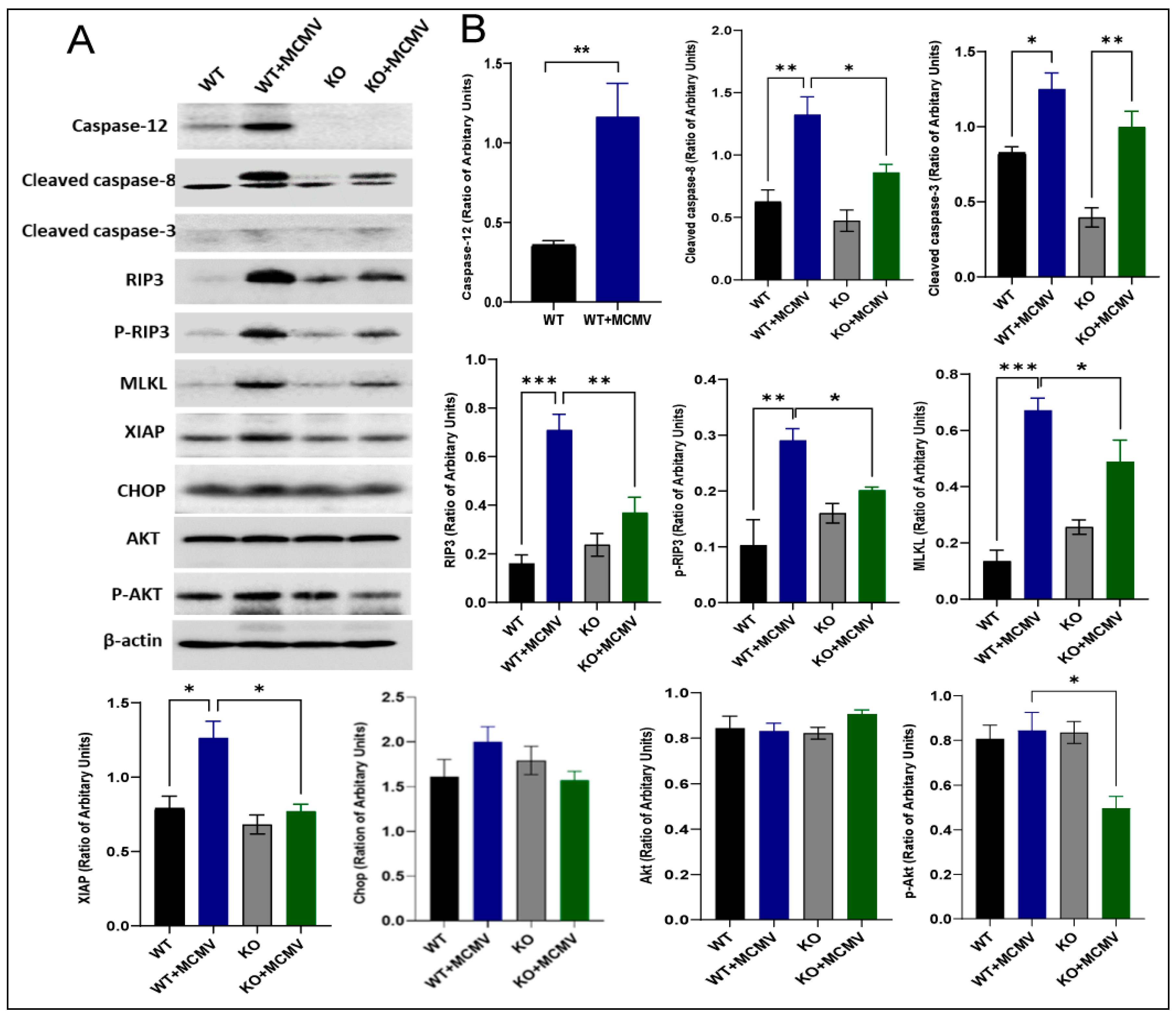 Viruses 17 01206 g003 Viruses 17 01206 g003