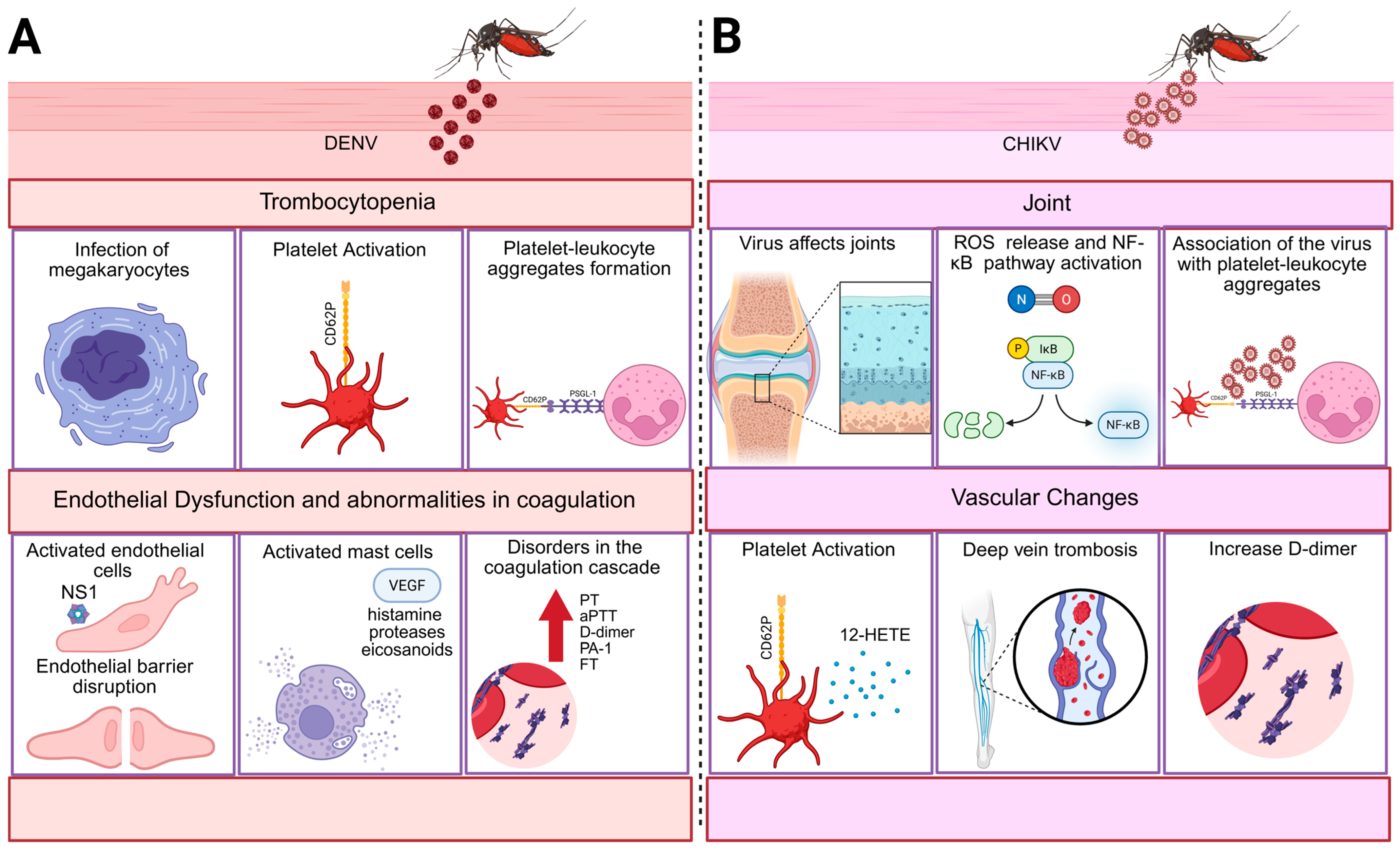 Viruses 17 01207 g001 Viruses 17 01207 g001