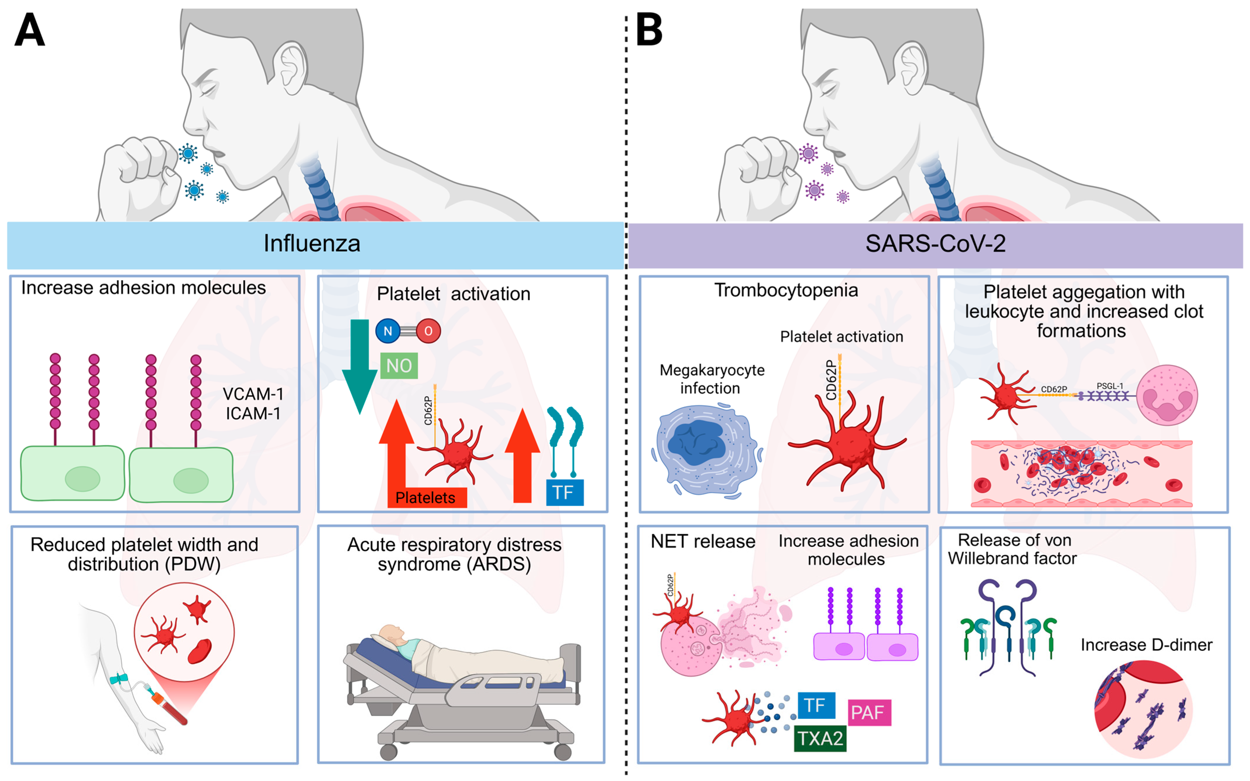 Viruses 17 01207 g002 Viruses 17 01207 g002