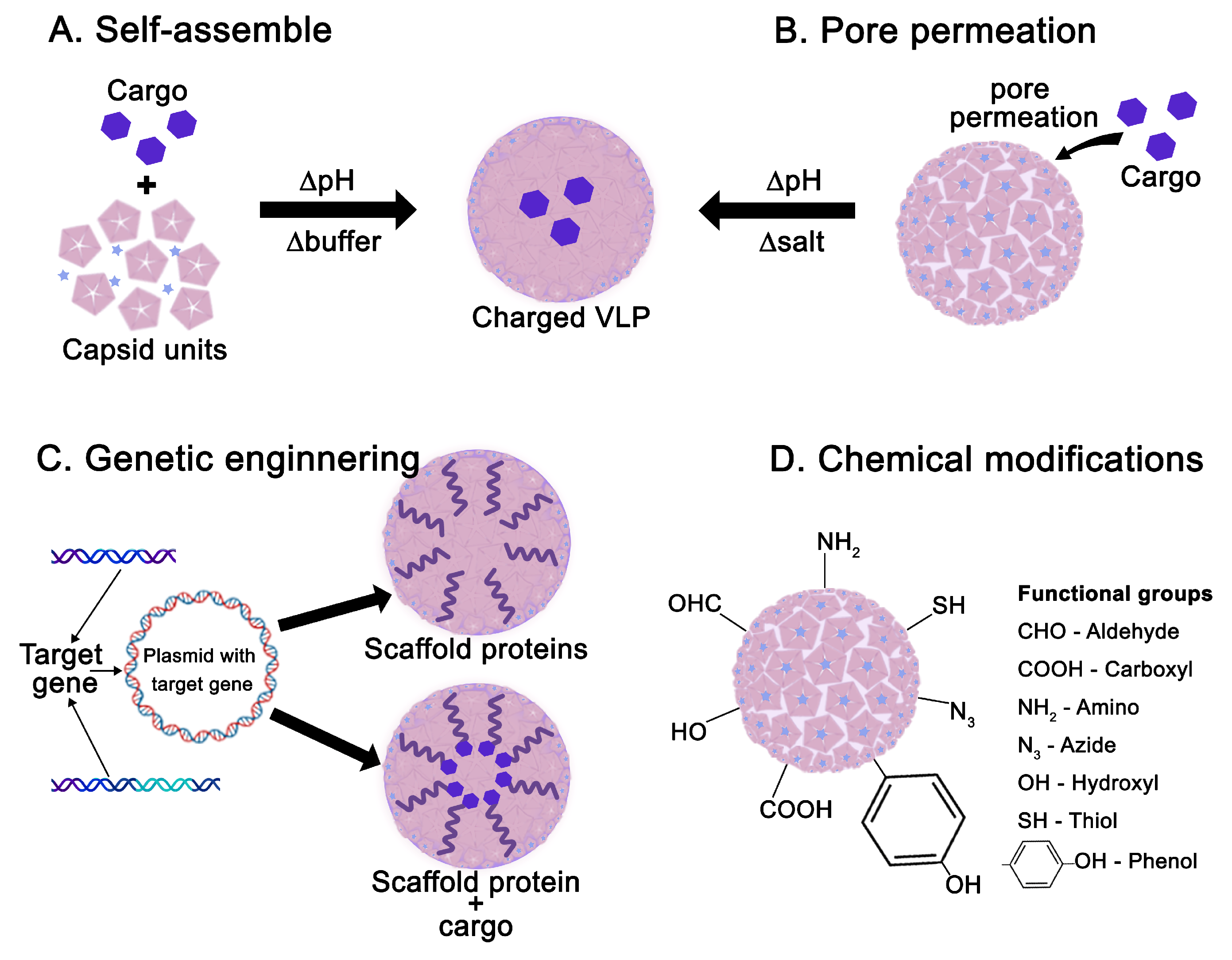 Viruses 17 01209 g004