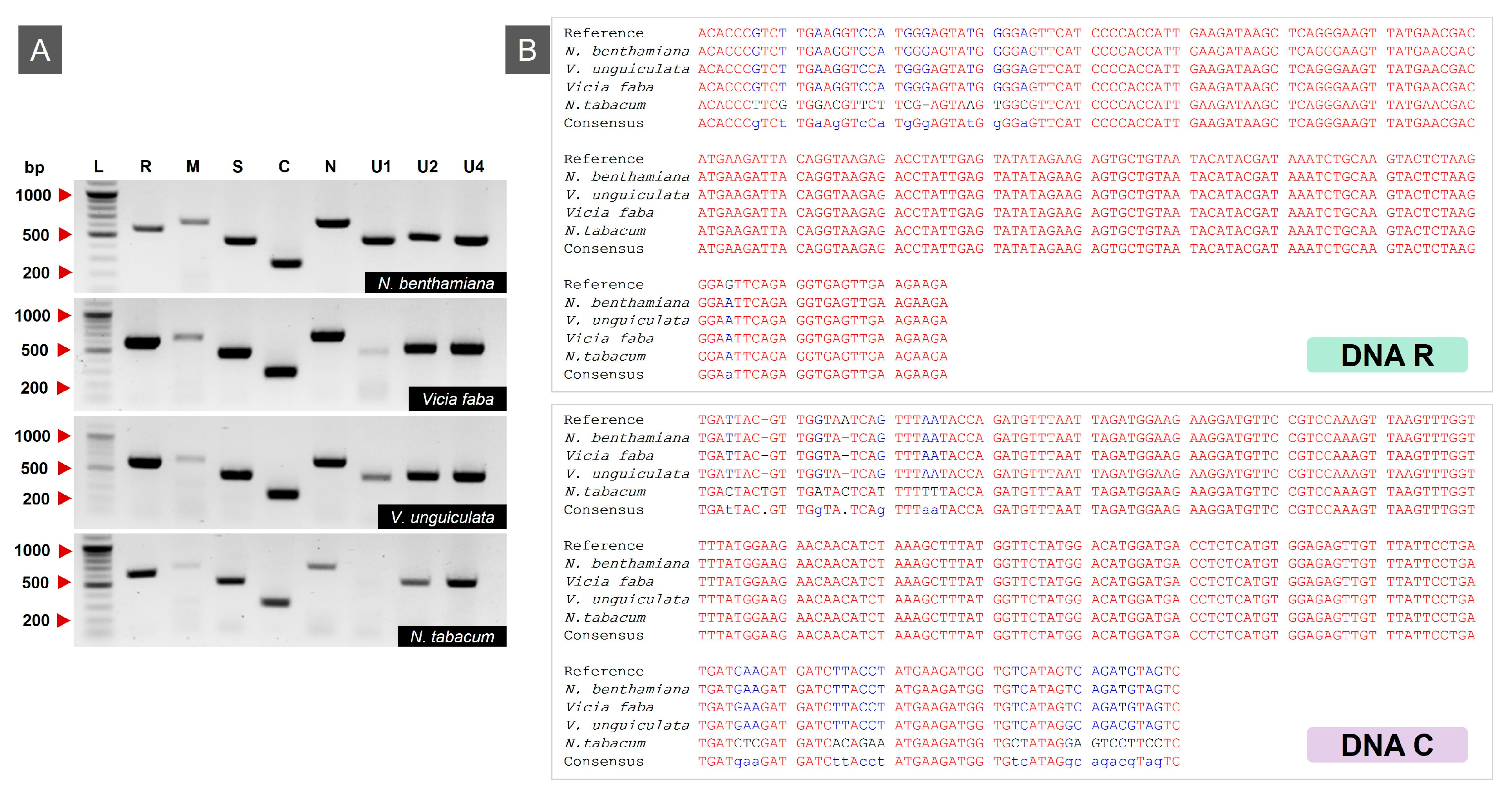Viruses 17 01213 g003