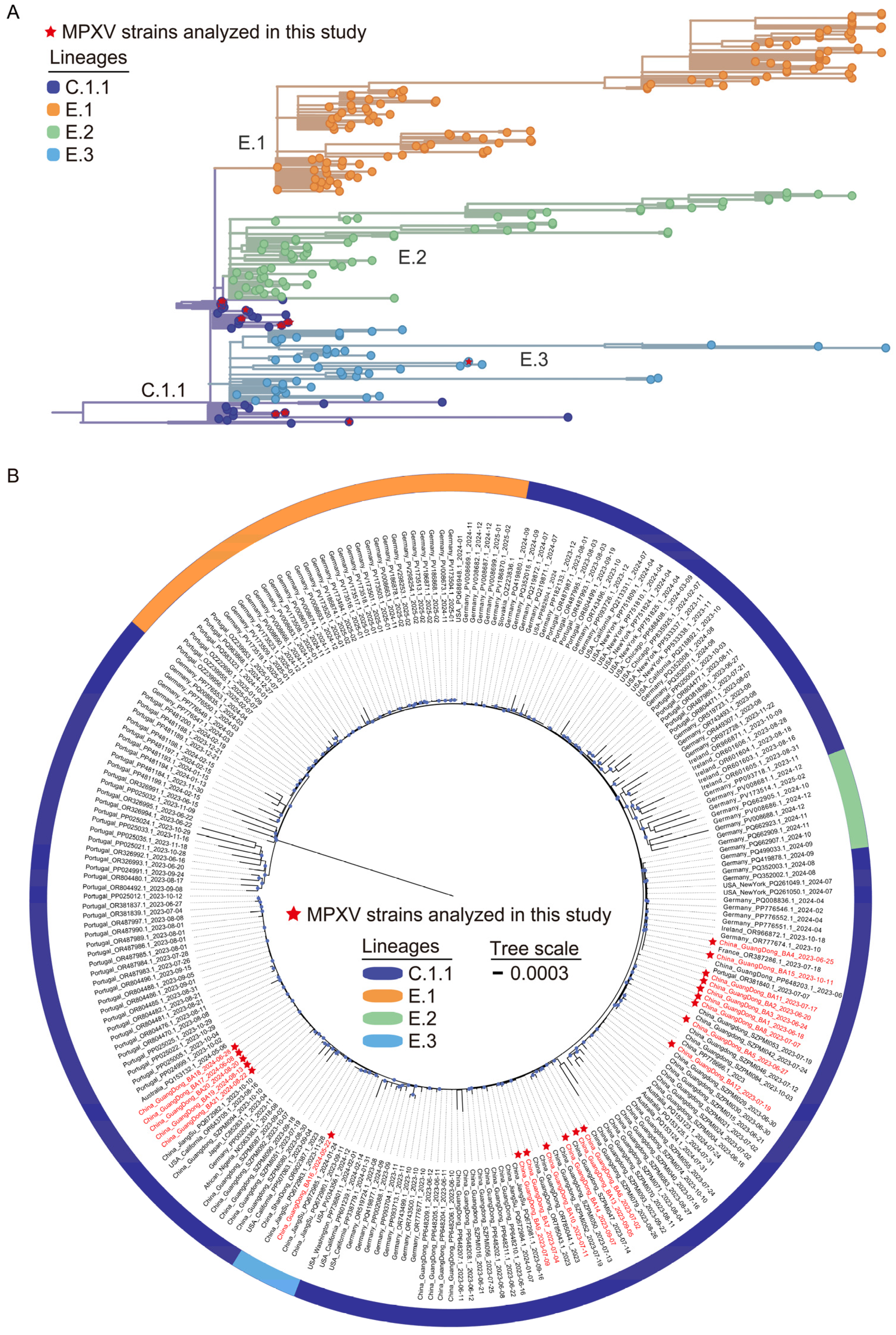 Viruses 17 01214 g001 Viruses 17 01214 g001