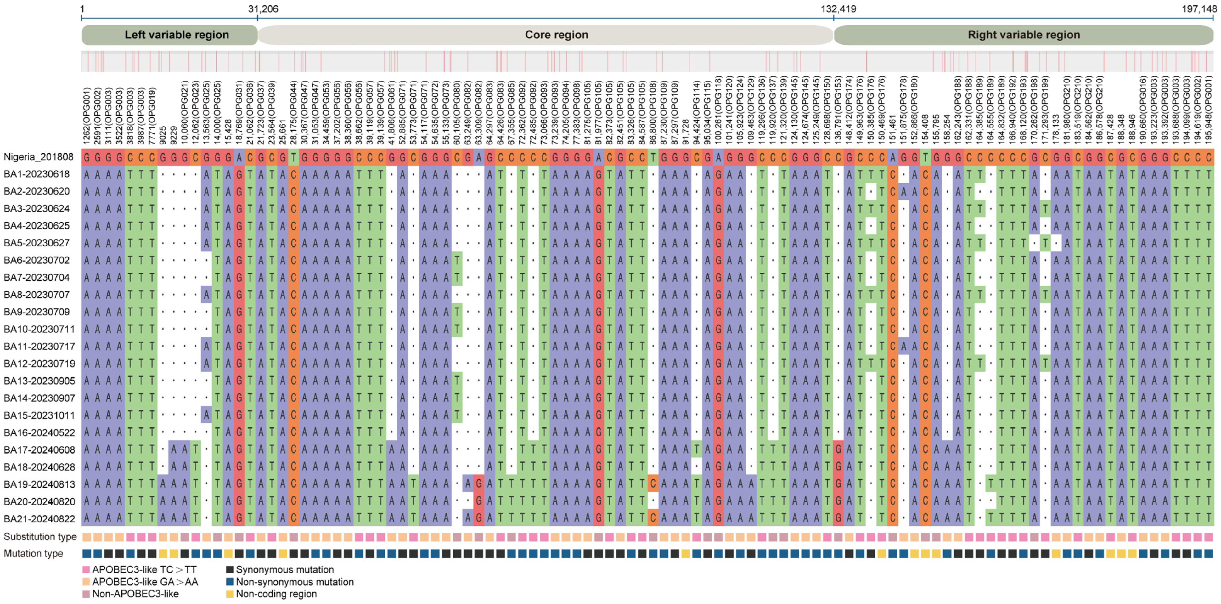 Viruses 17 01214 g002 Viruses 17 01214 g002