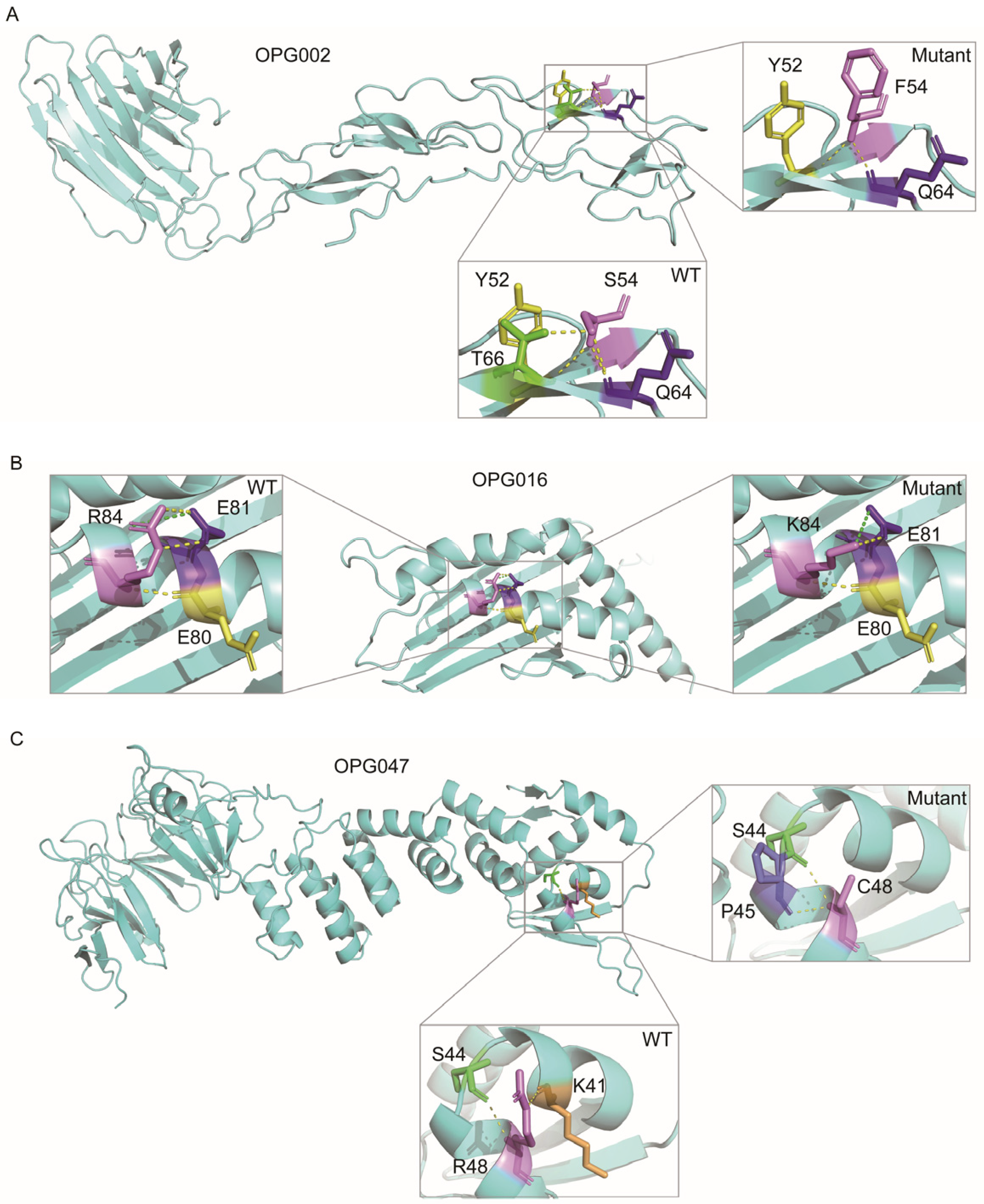 Viruses 17 01214 g005 Viruses 17 01214 g005