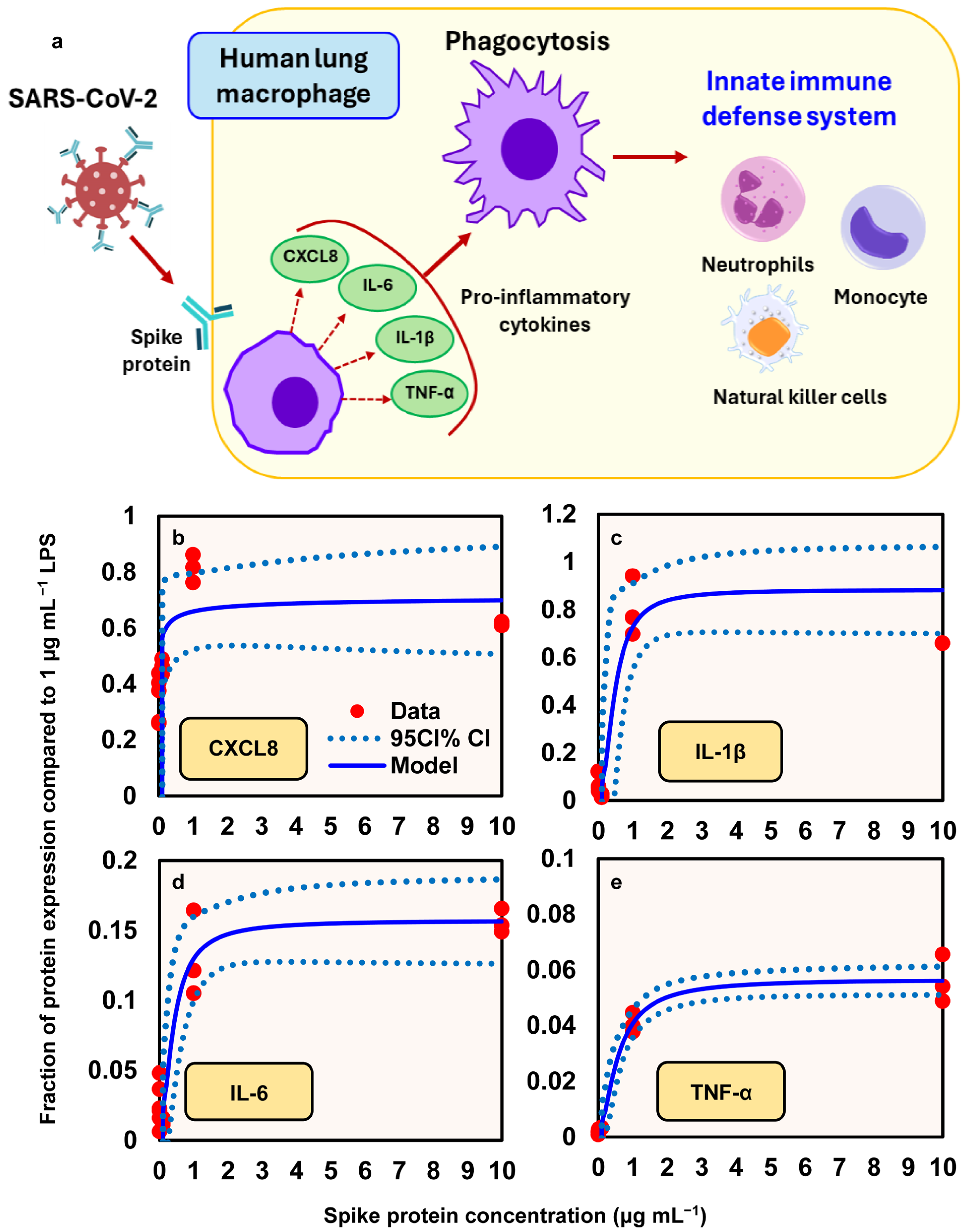 Viruses 17 01215 g005 Viruses 17 01215 g005