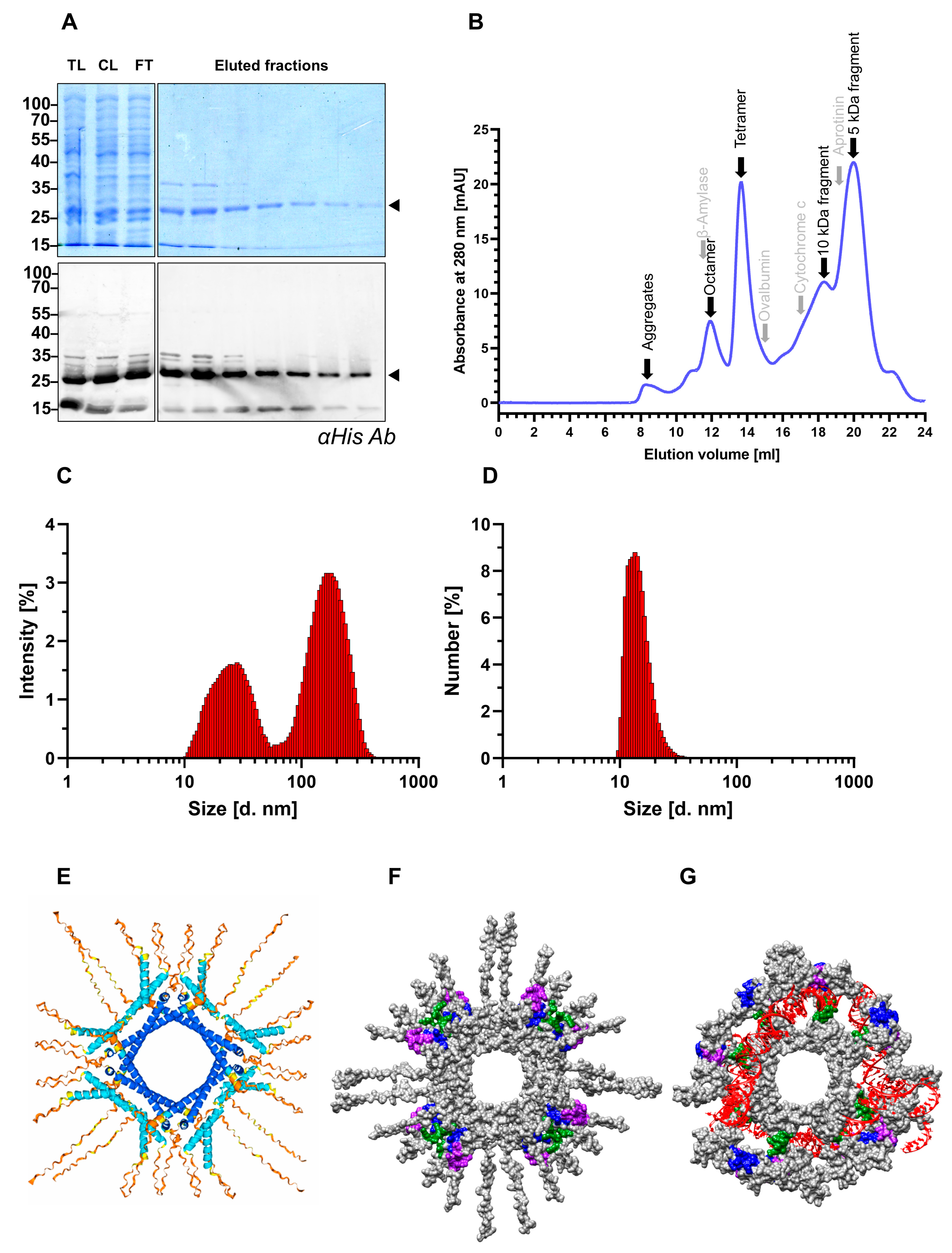 Viruses 17 01220 g001