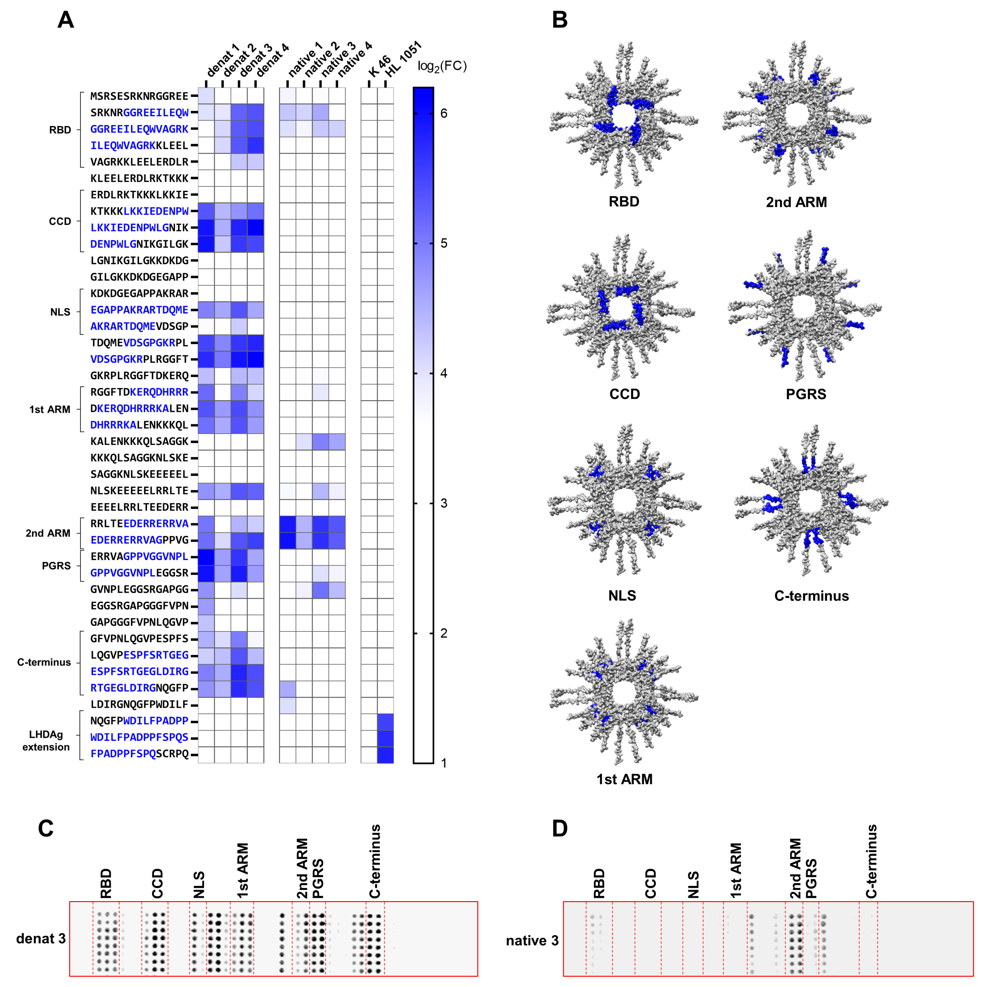 Viruses 17 01220 g003
