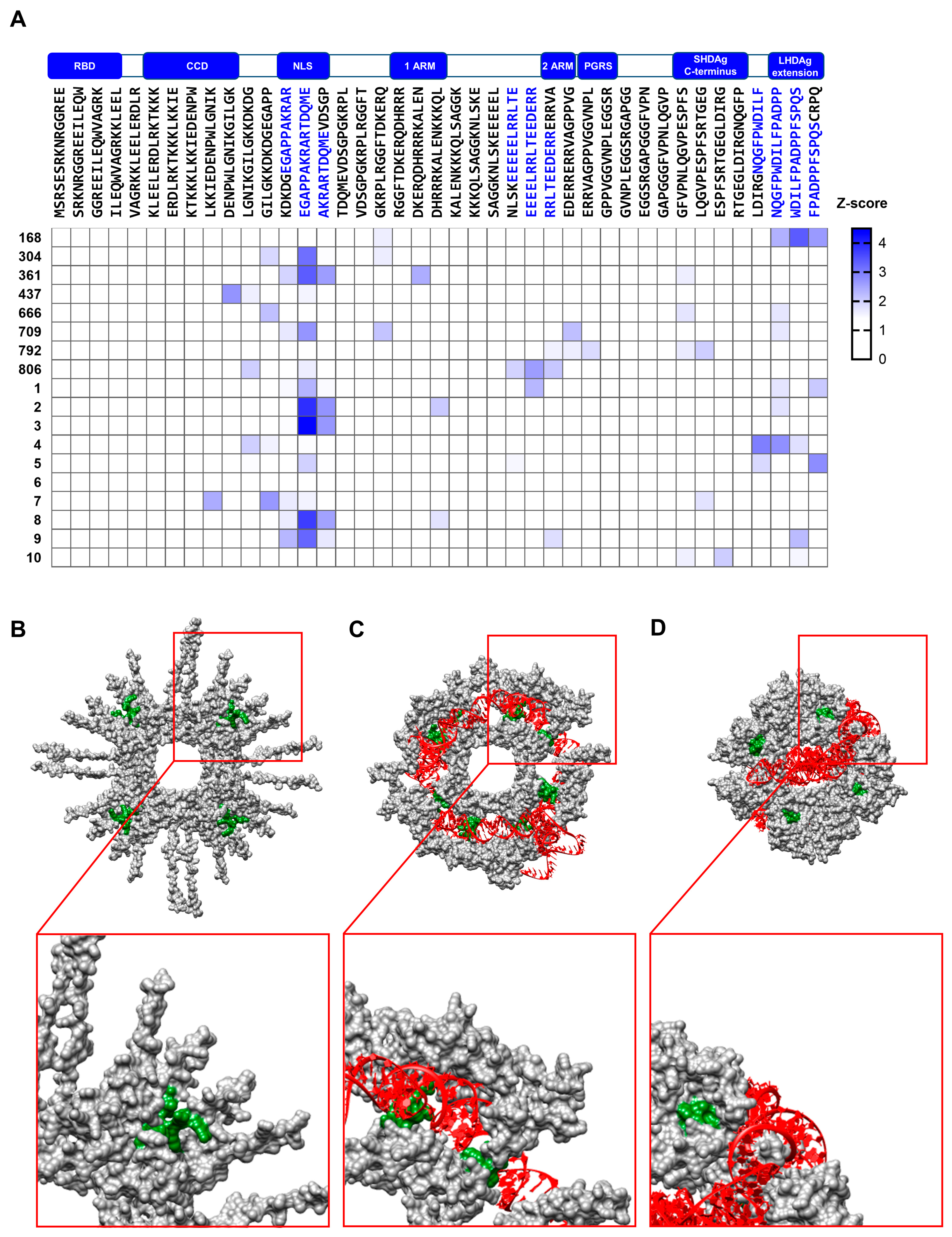 Viruses 17 01220 g005