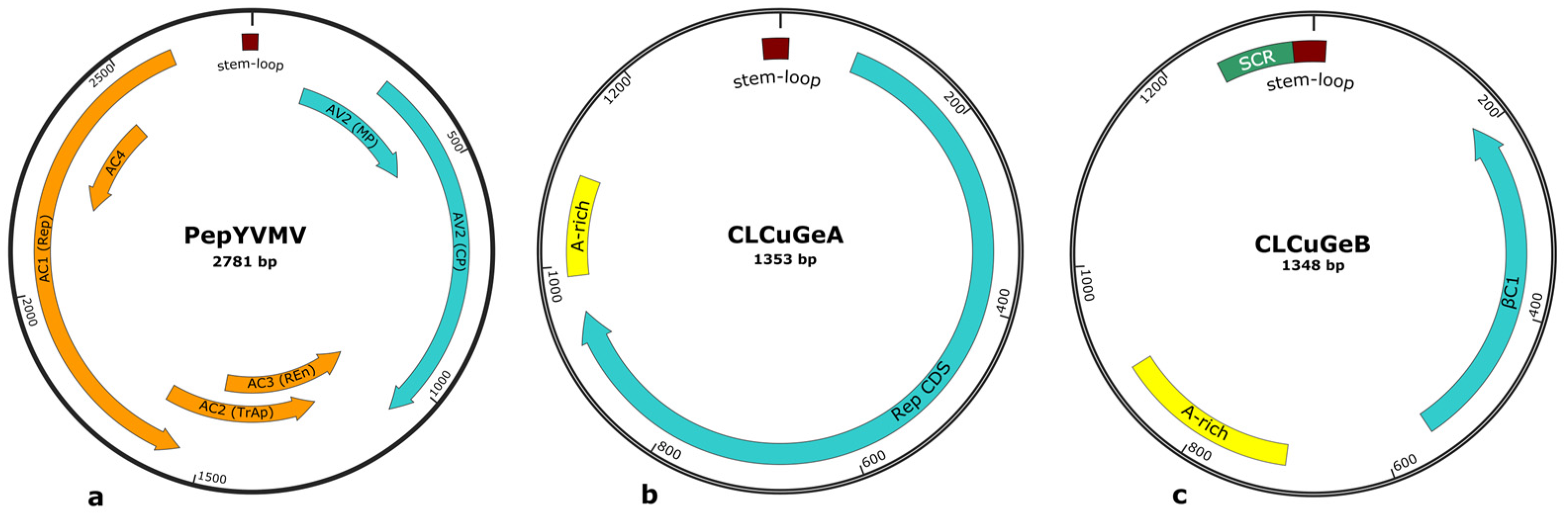 Viruses 17 01222 g003